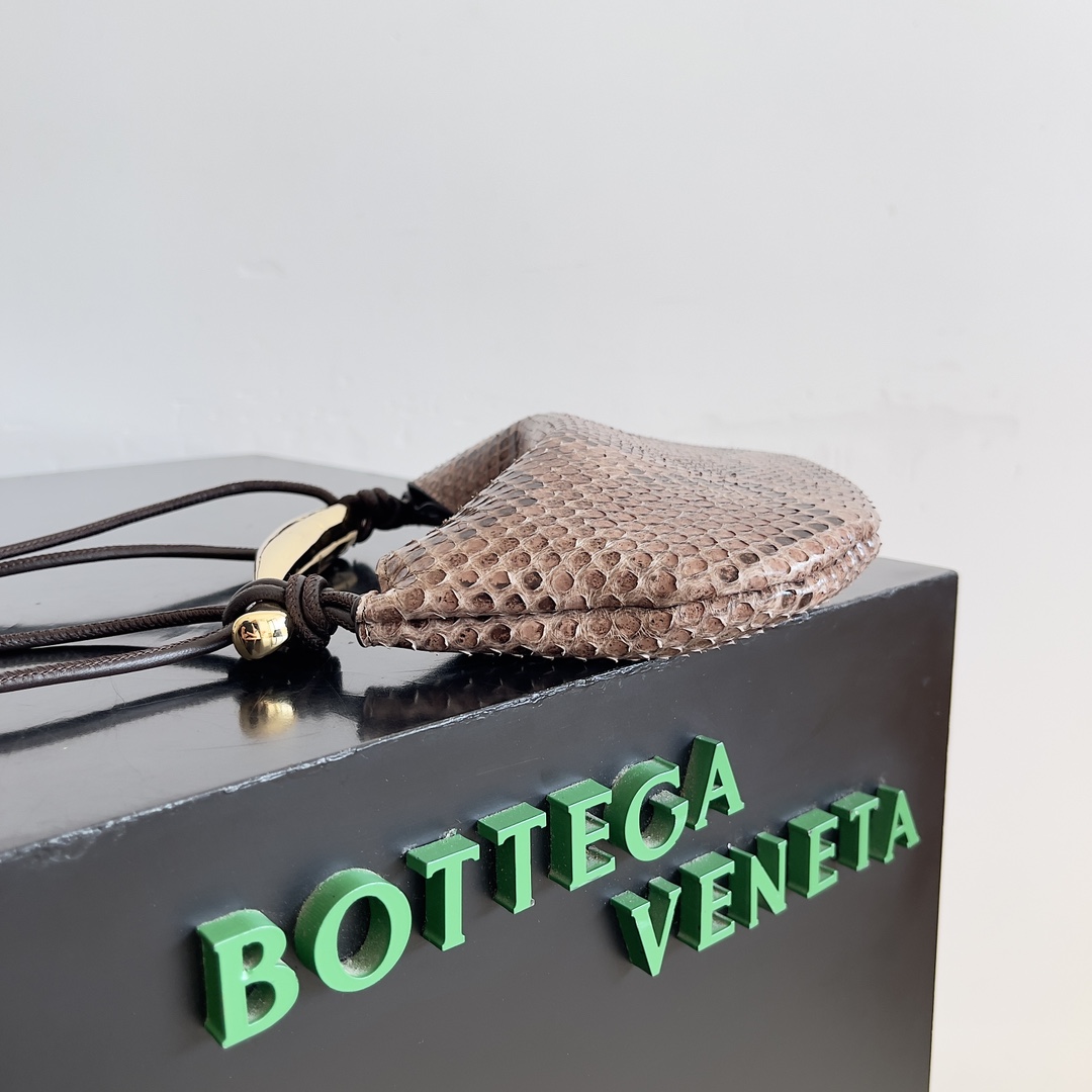 Bottega Veneta Rare Python Sardine Mini Bag