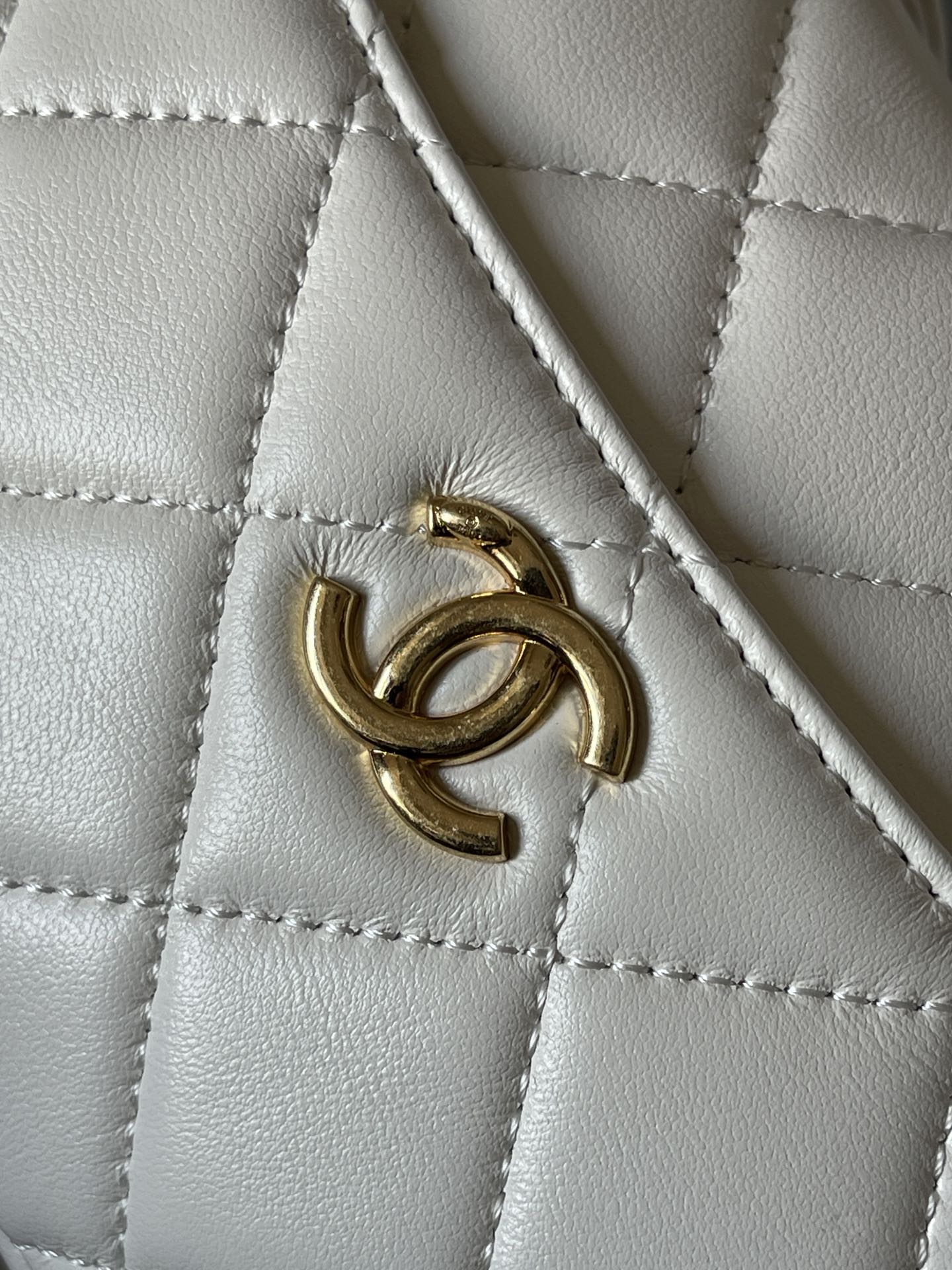 The Chanel 24K Camera Bag