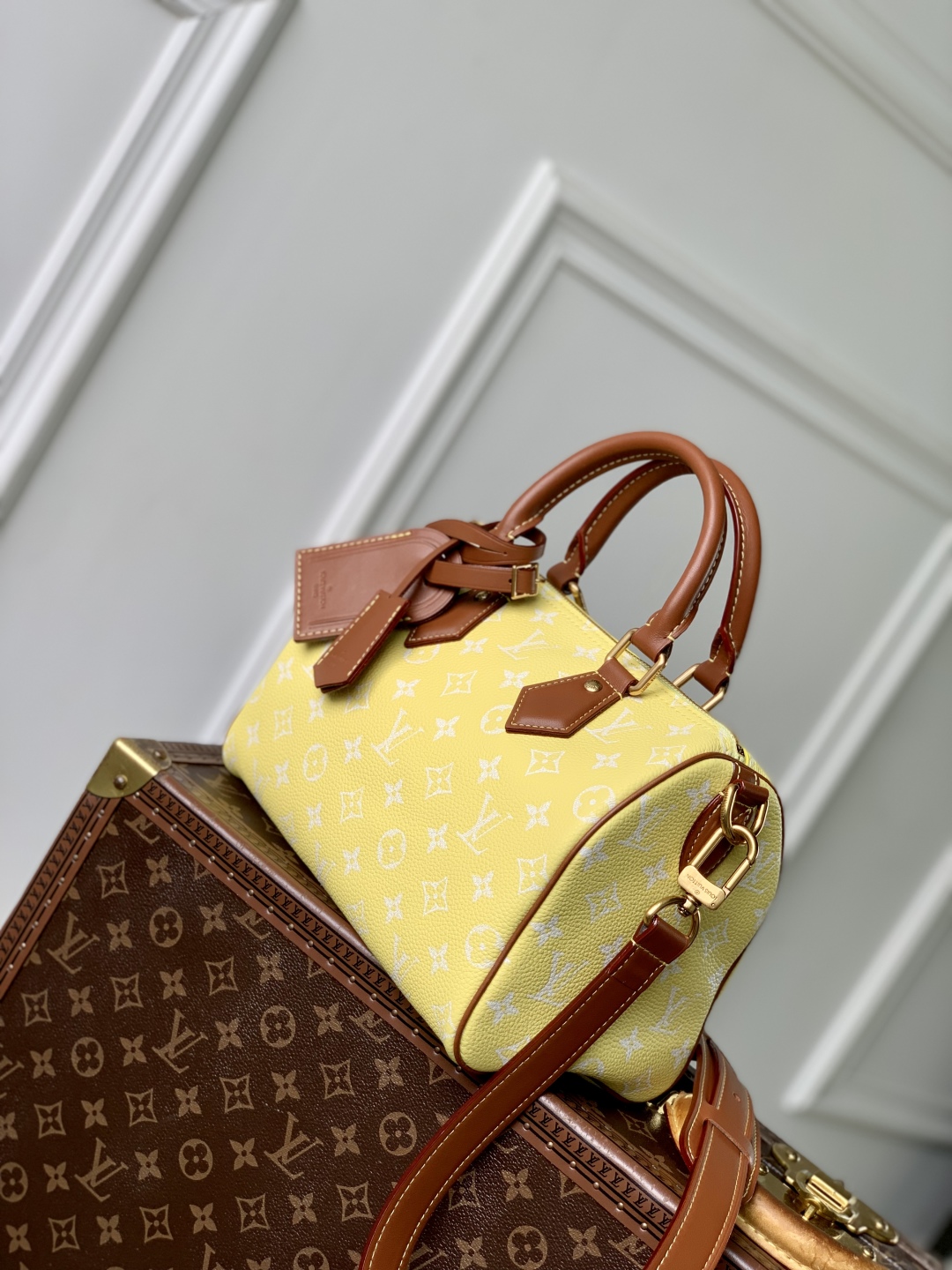 LV Speedy P9 Bandoulière 25