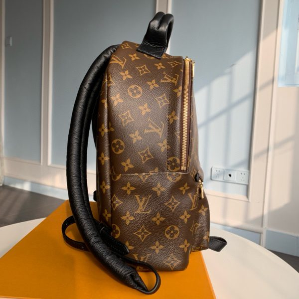 Louis Vuitton Monogram M44874 Palm Springs MM