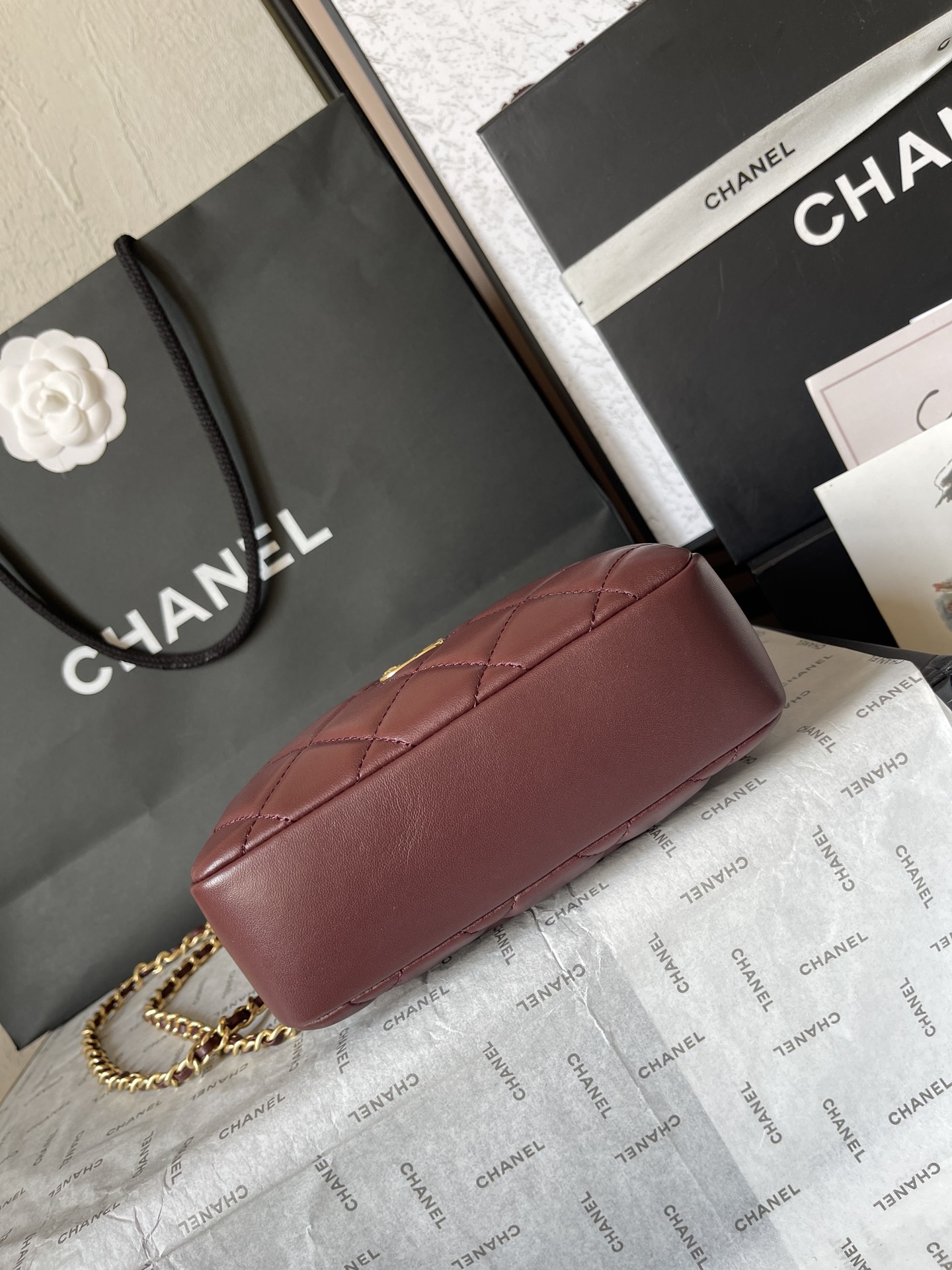 The Chanel 24K Camera Bag