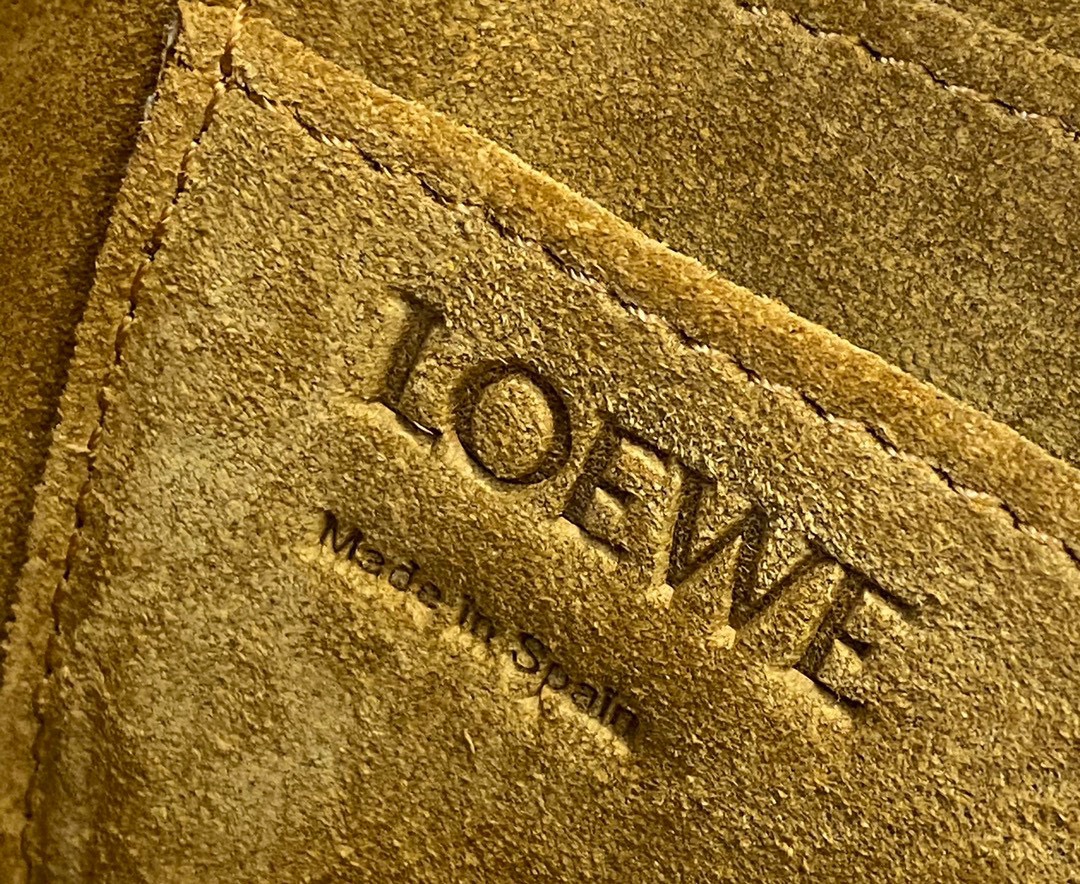 Loewe Gate Dual Mini Bag