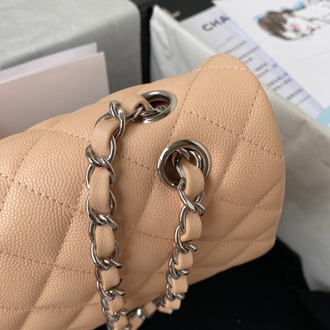 Chanel Classic Flap Bag-Nude