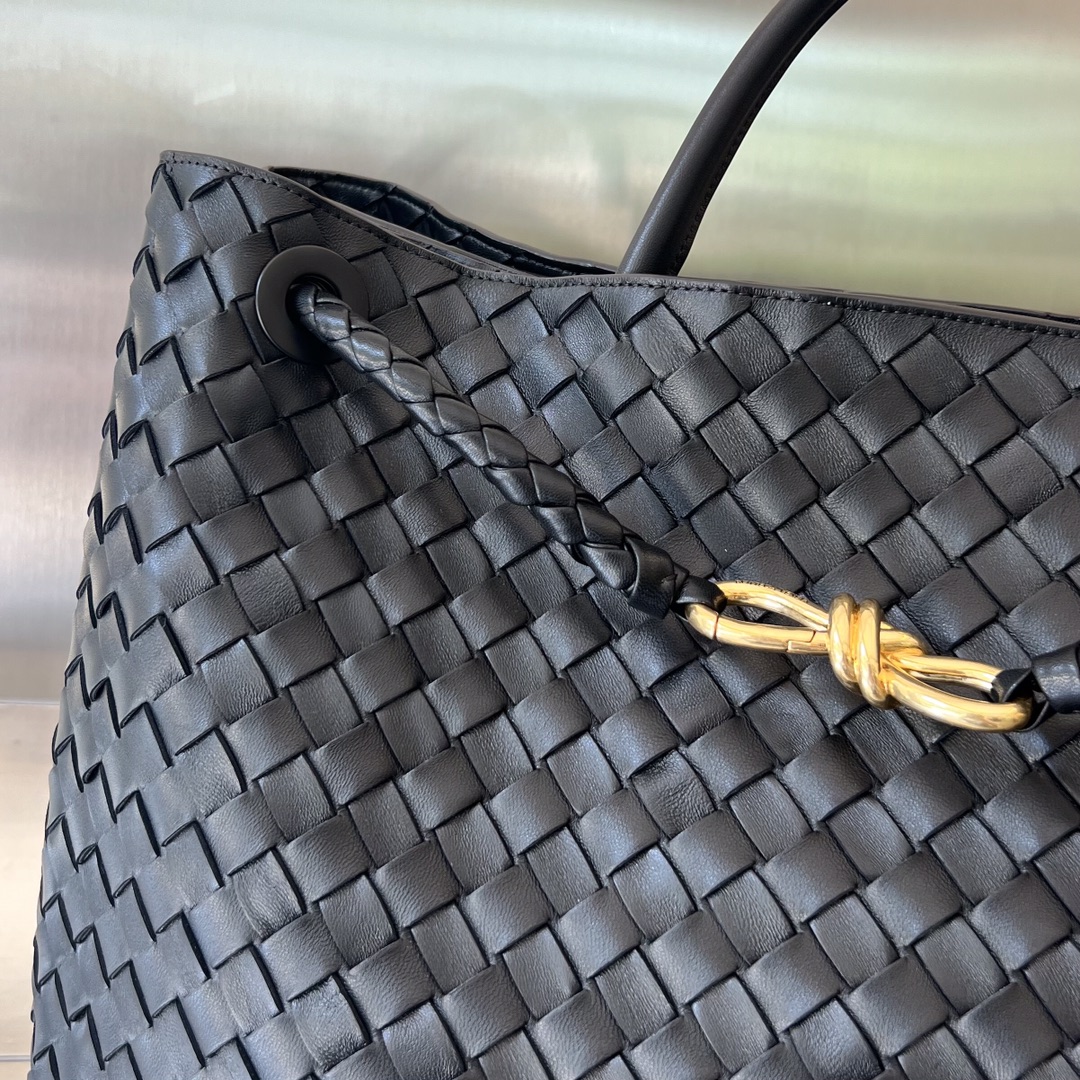 Bottega Veneta Andiamo Bag (Model 743575