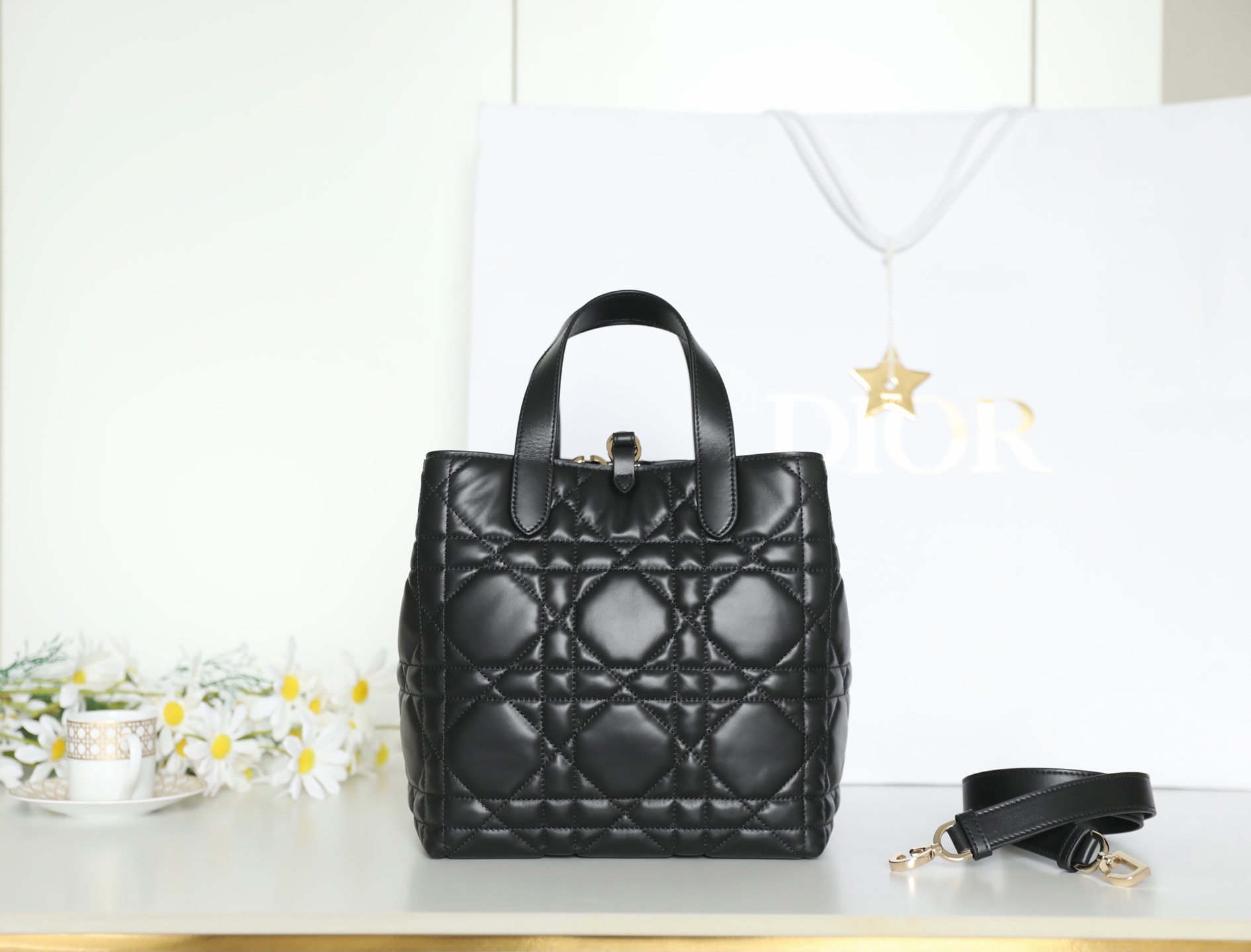 Dior Toujours Vertical Tote Bag – DR-041
