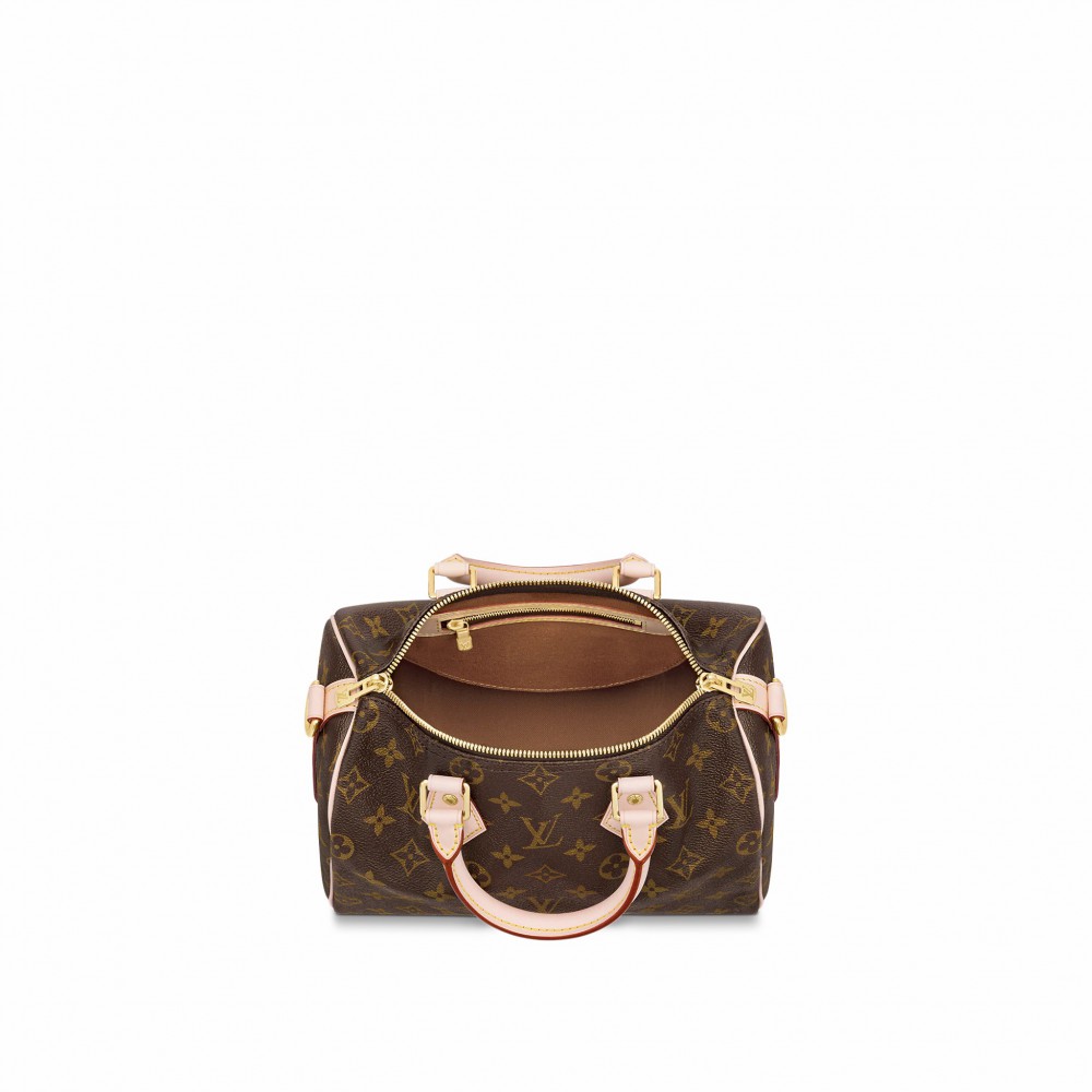 Louis Vuitton Speedy Bandouliere 25 M41113