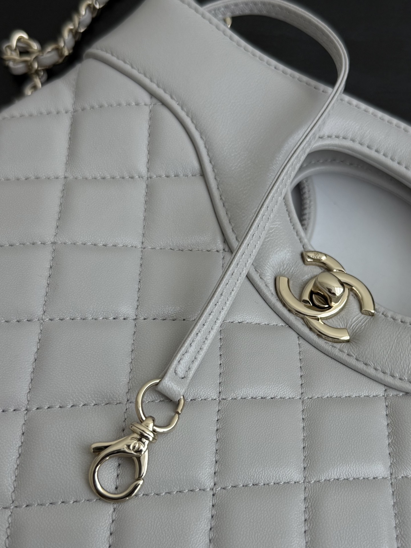 Chanel 25P Mini 31 Bag