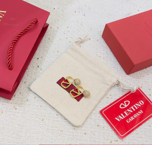 Valentino V@lentino earrings