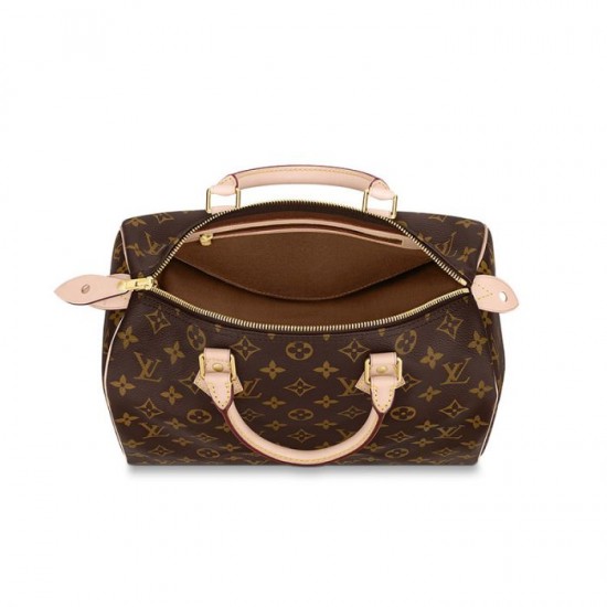 Louis Vuitton Speedy 30 M41108