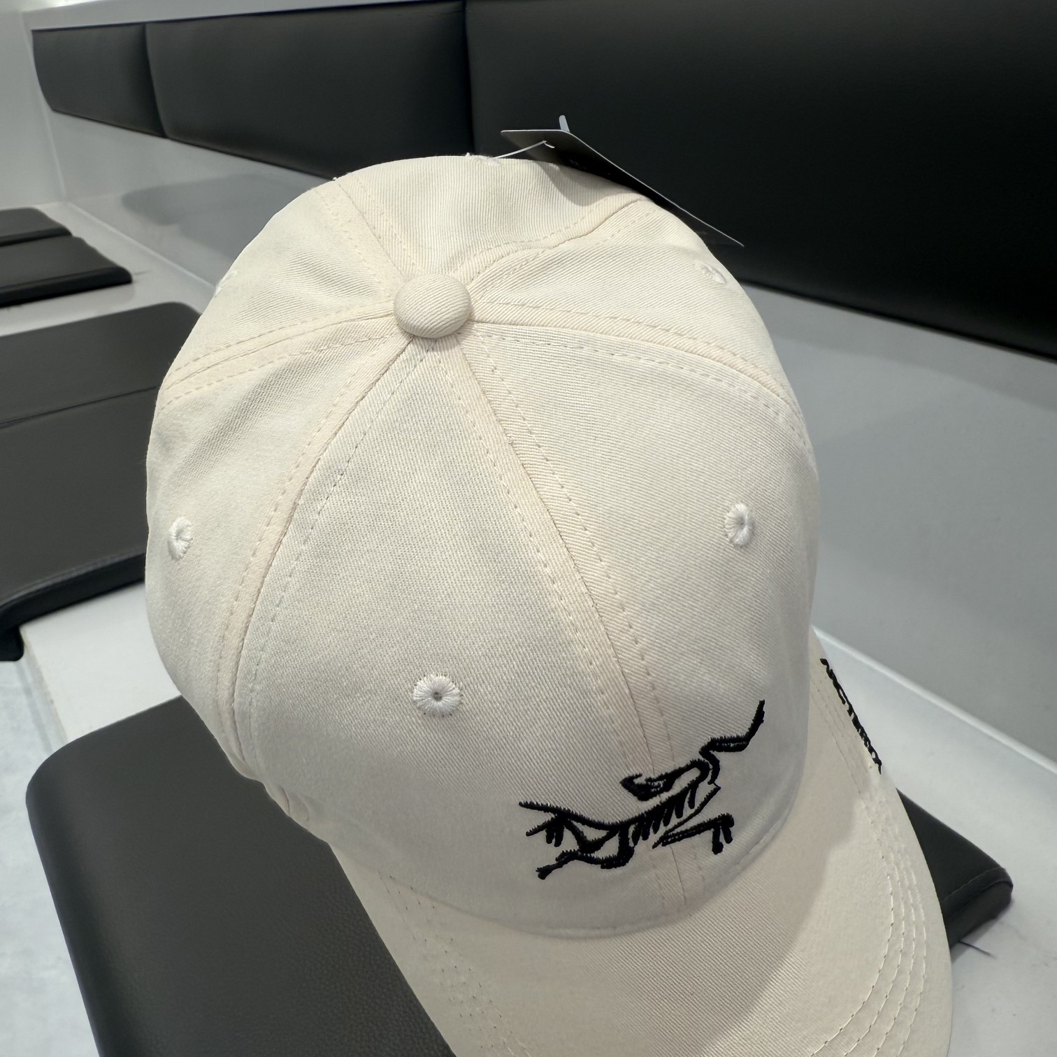 Arc'teryx- baseball cap