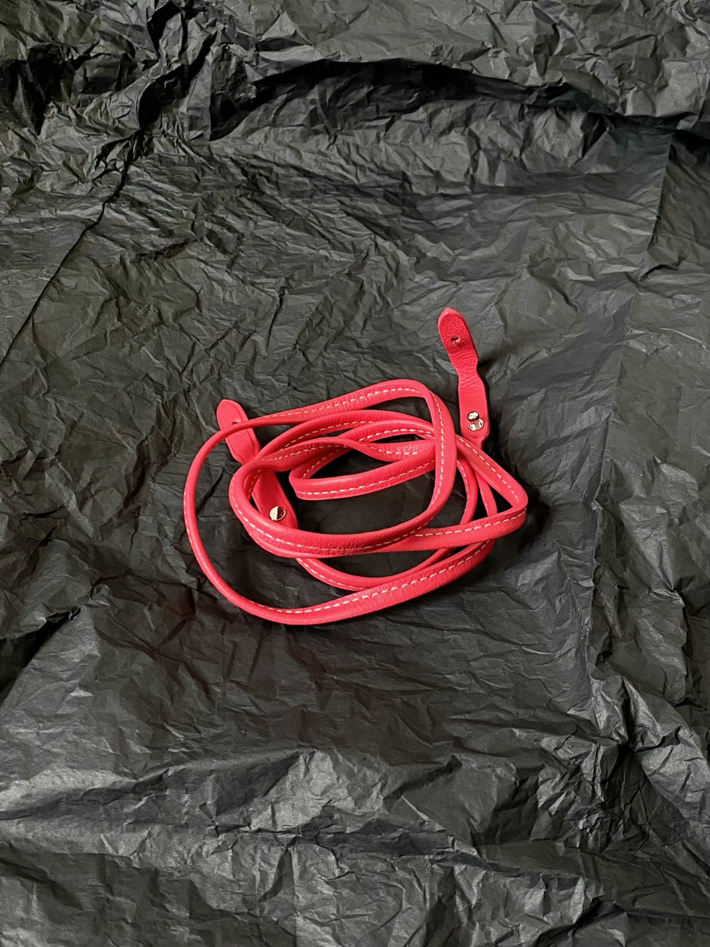 Goyard Poitiers PM bag