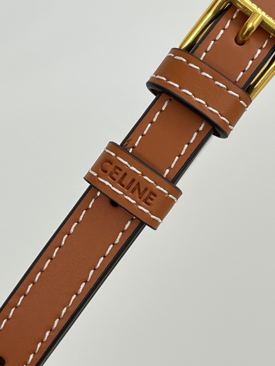 Celine Vanity Case in Caramel