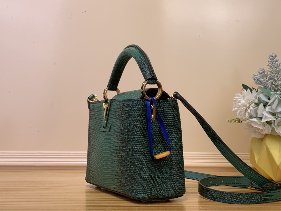 LV Capucines Mini Handbag – N48865