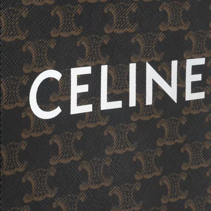 MINI VERTICAL CABAS IN TRIOMPHE CANVAS AND CALFSKIN WITH CELINE PRINT TAN