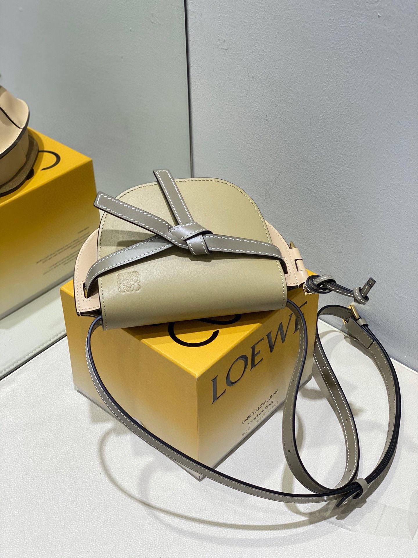 Loewe Gate Dual Mini Bag