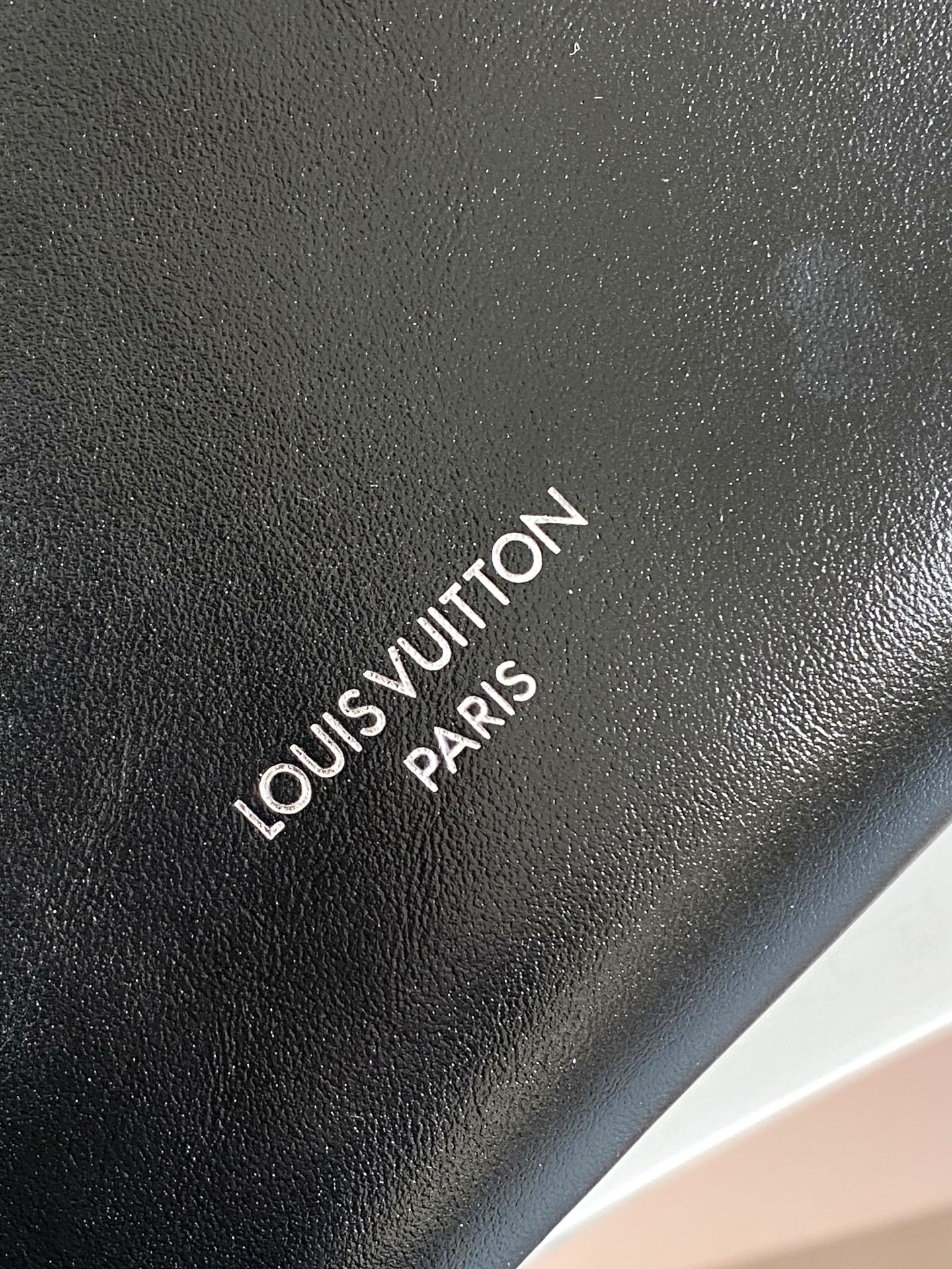 Louis Vuitton Speedy Cargo Bag