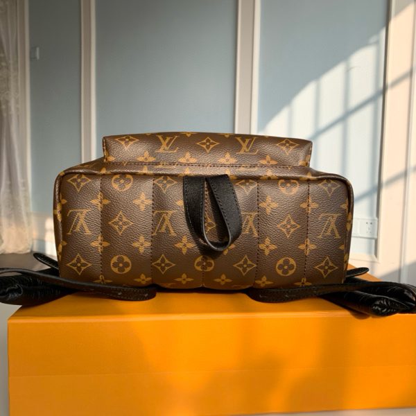 Louis Vuitton Monogram M44874 Palm Springs MM