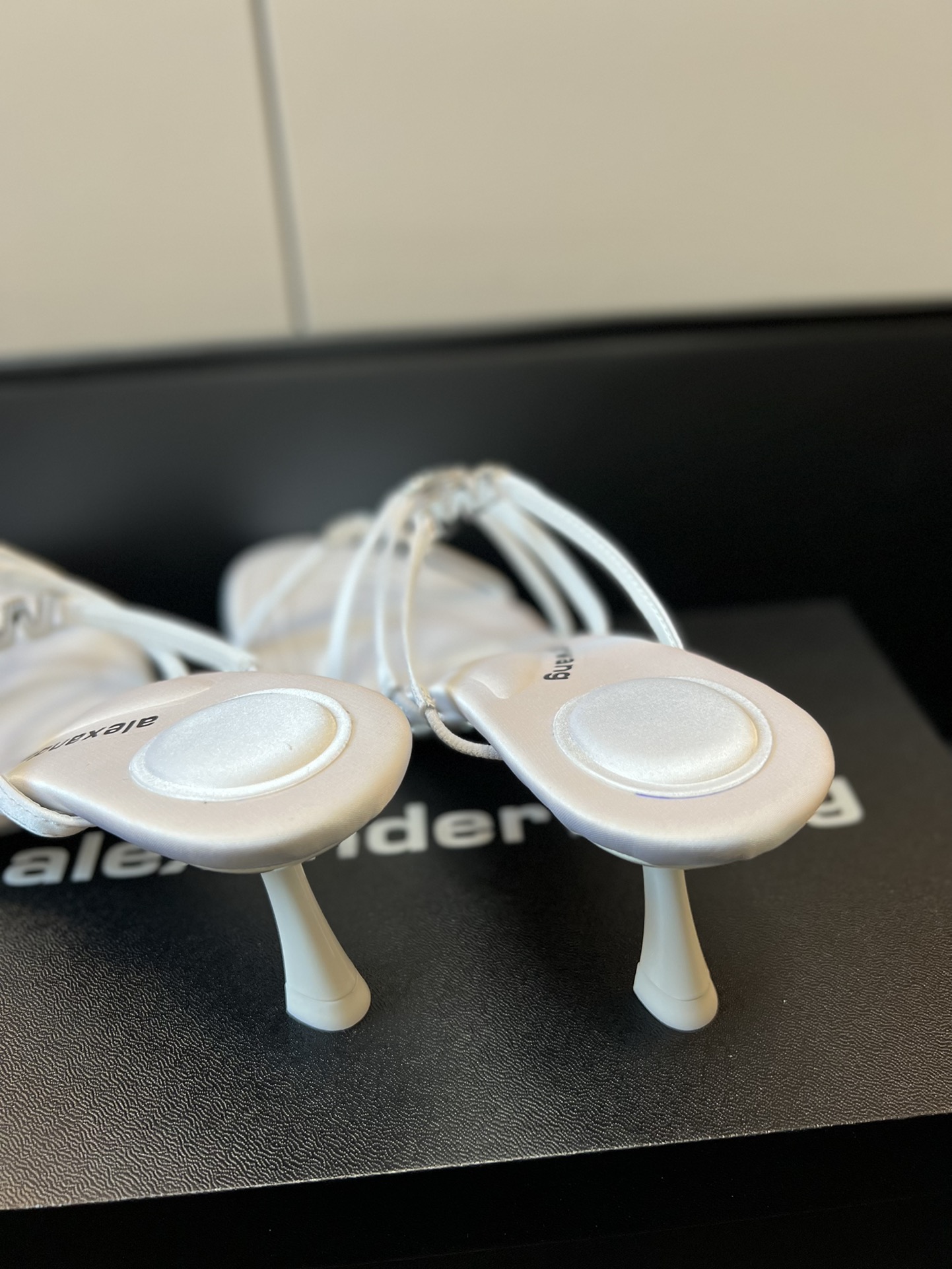 Alexander Wang New Arrival