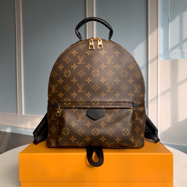 Louis Vuitton Monogram M44874 Palm Springs MM