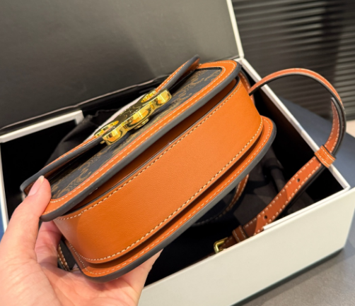 CELINE MINI BESACE CLEA in Triomphe canvas and calfskin