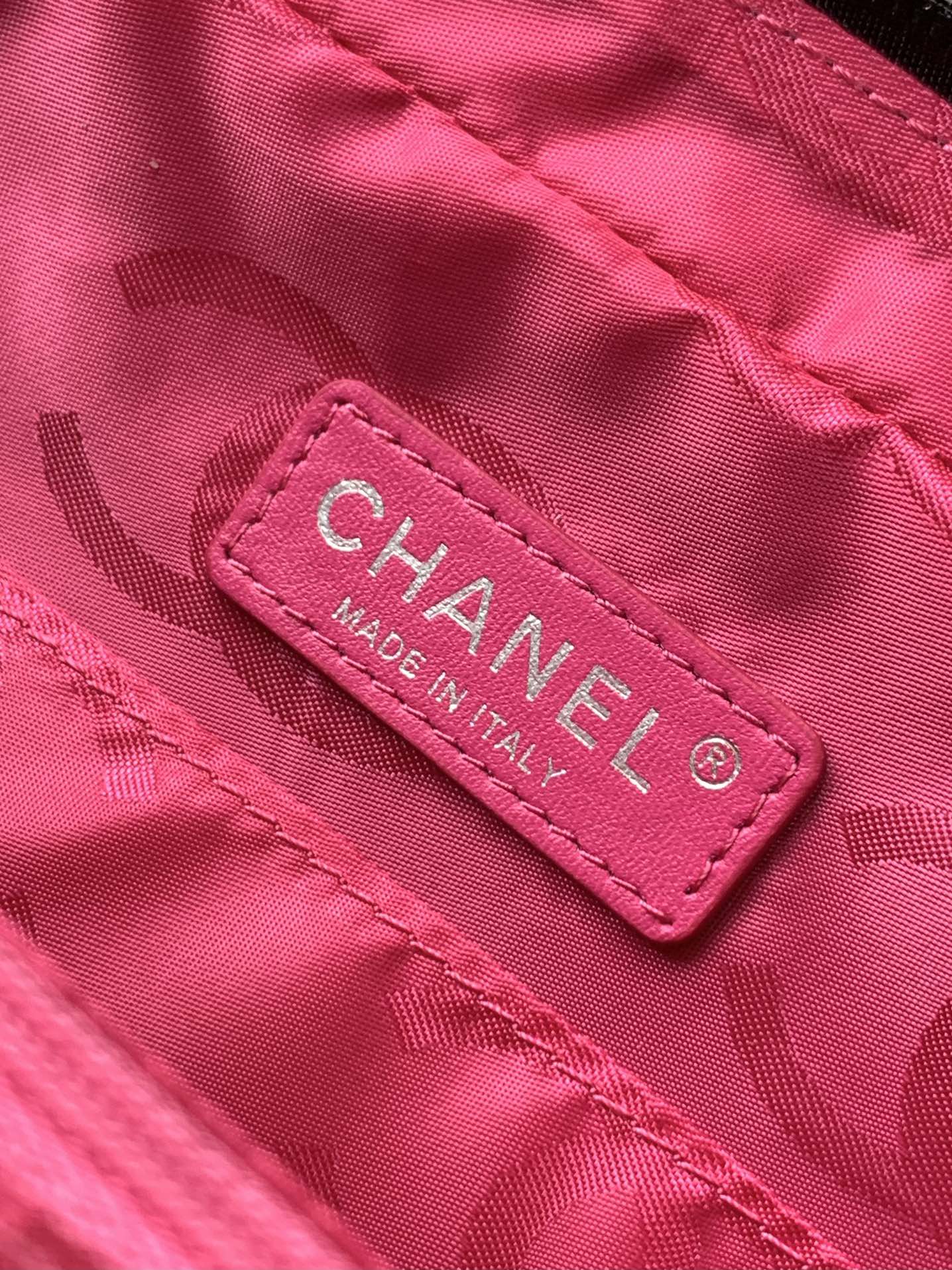chanel Campionhead camera bag