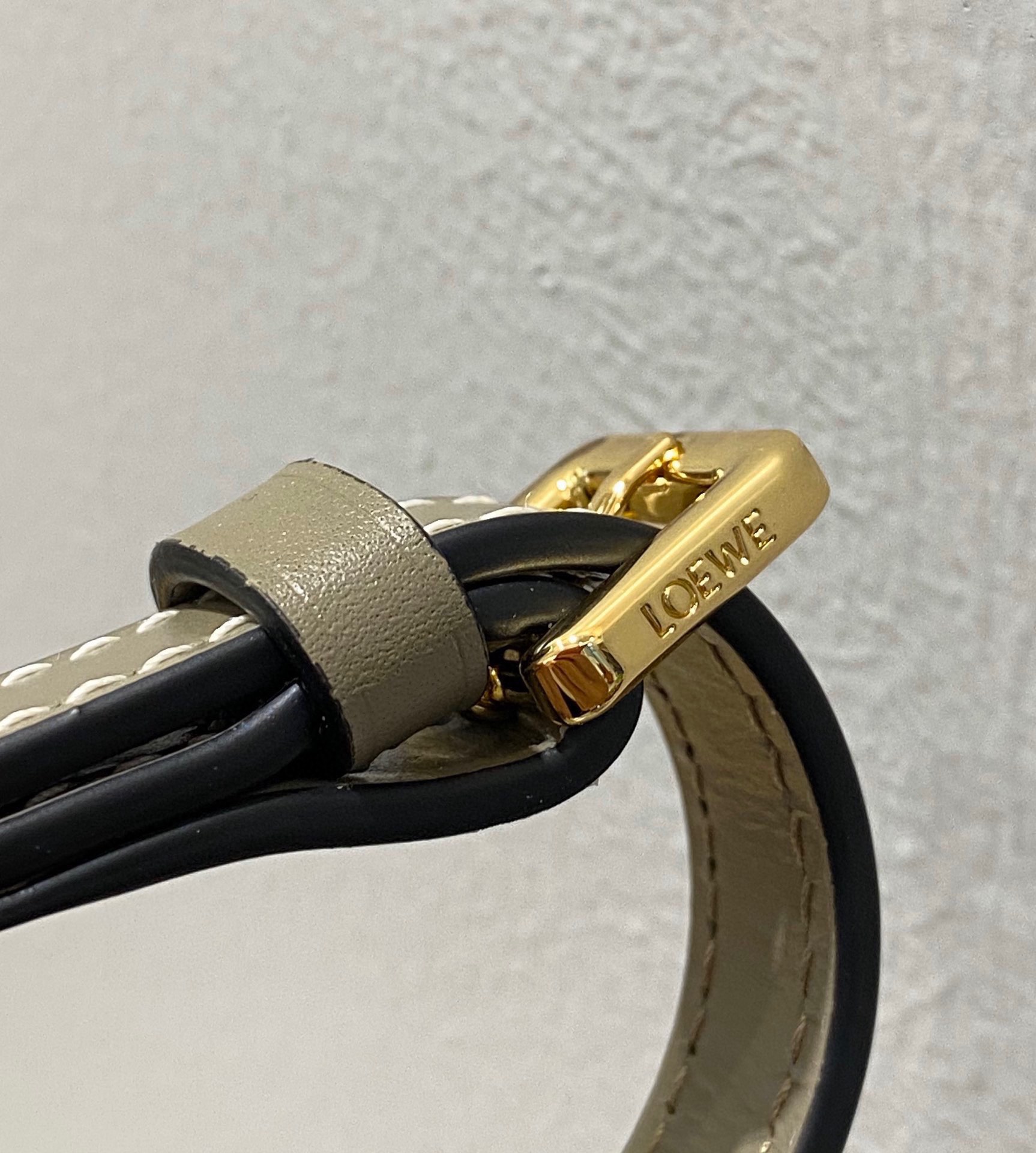 Loewe Gate Dual Mini Bag