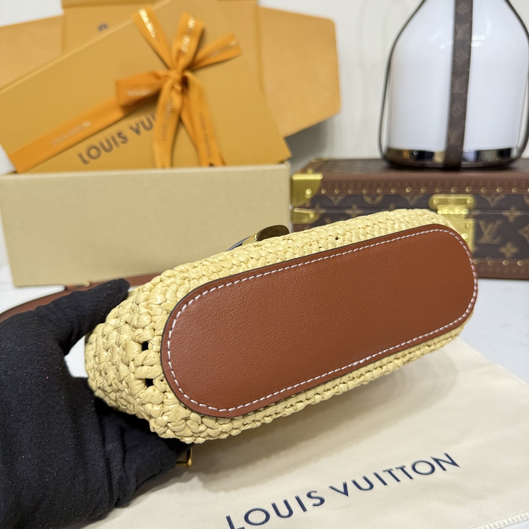 Louis Vuitton M14303 Vanity Chain Pouch