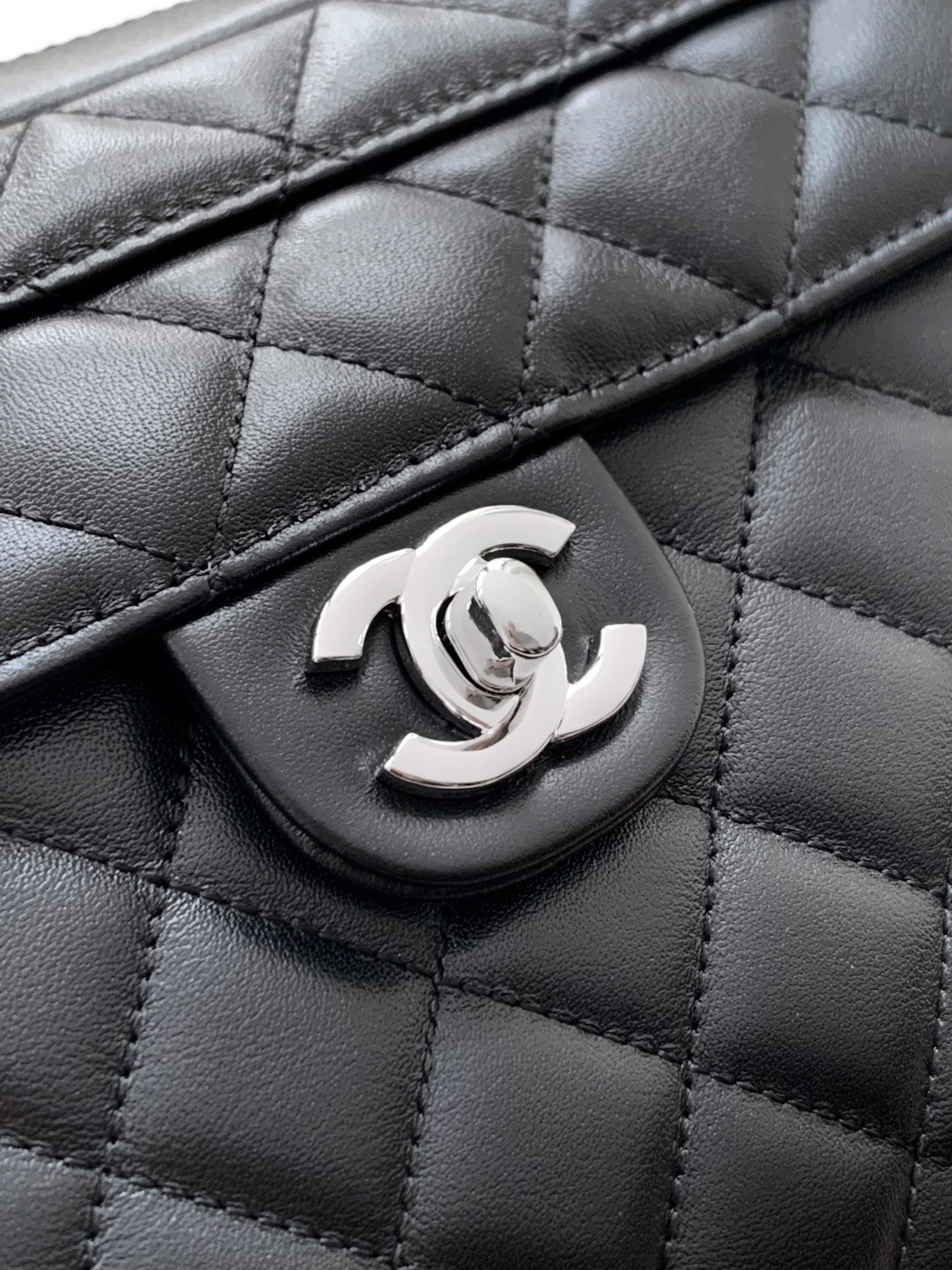 chanel Campionhead camera bag