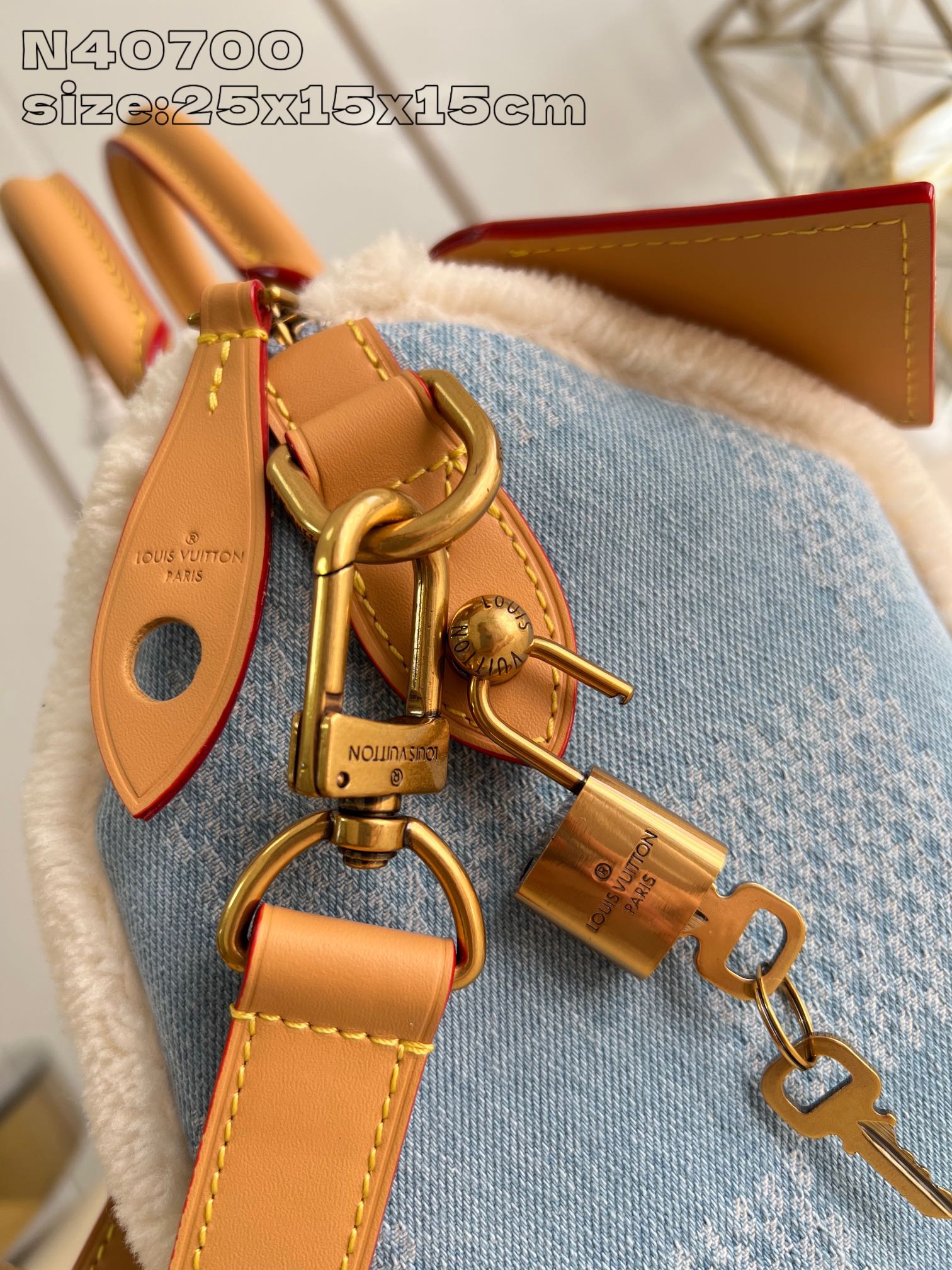 Speedy Bandouliere 25 handbag