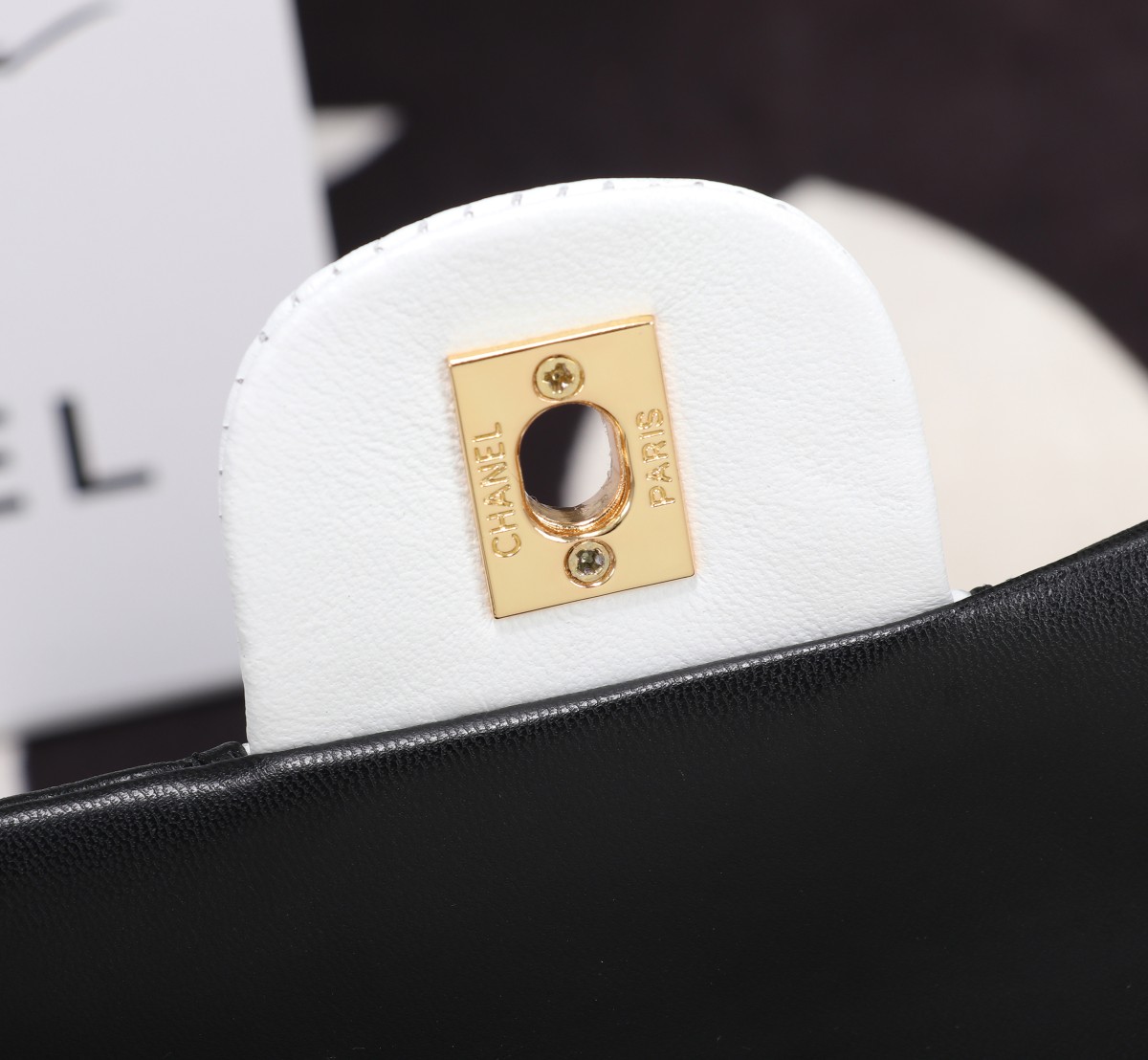 Chanel 2021 CF Two-Tone Flap Bag