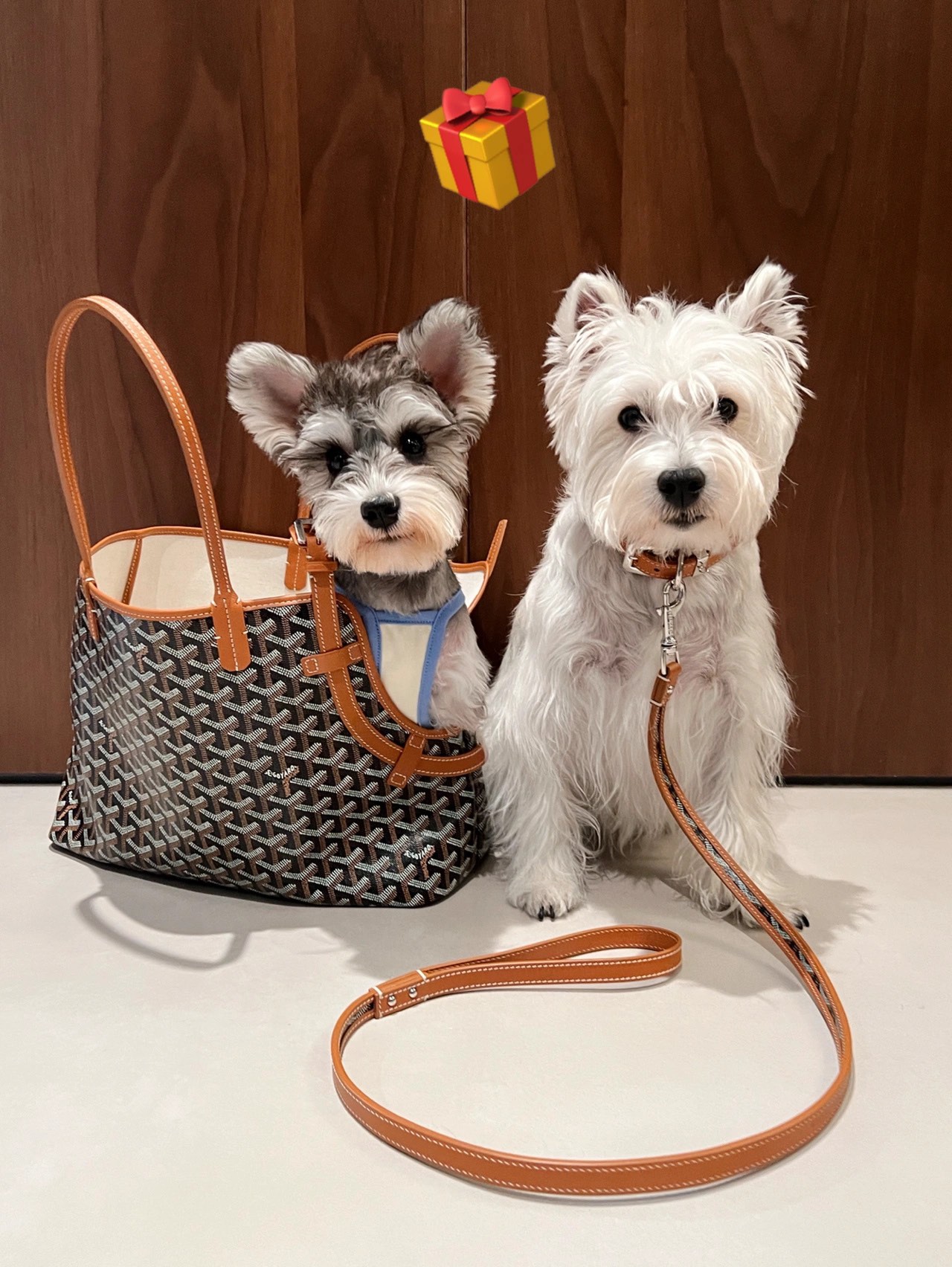Goyard-Chien Gris Pet Carrier