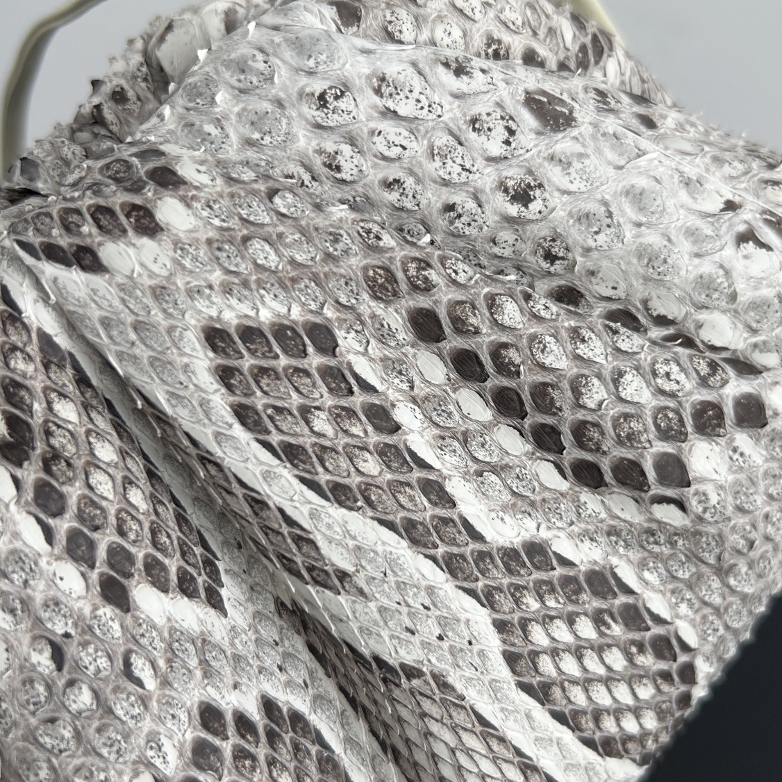 Bv Cloud Bag-python leather