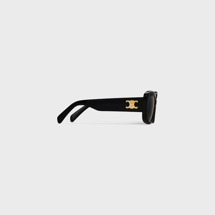 CELINE-Triomphe 04 sunglasses in Acetate