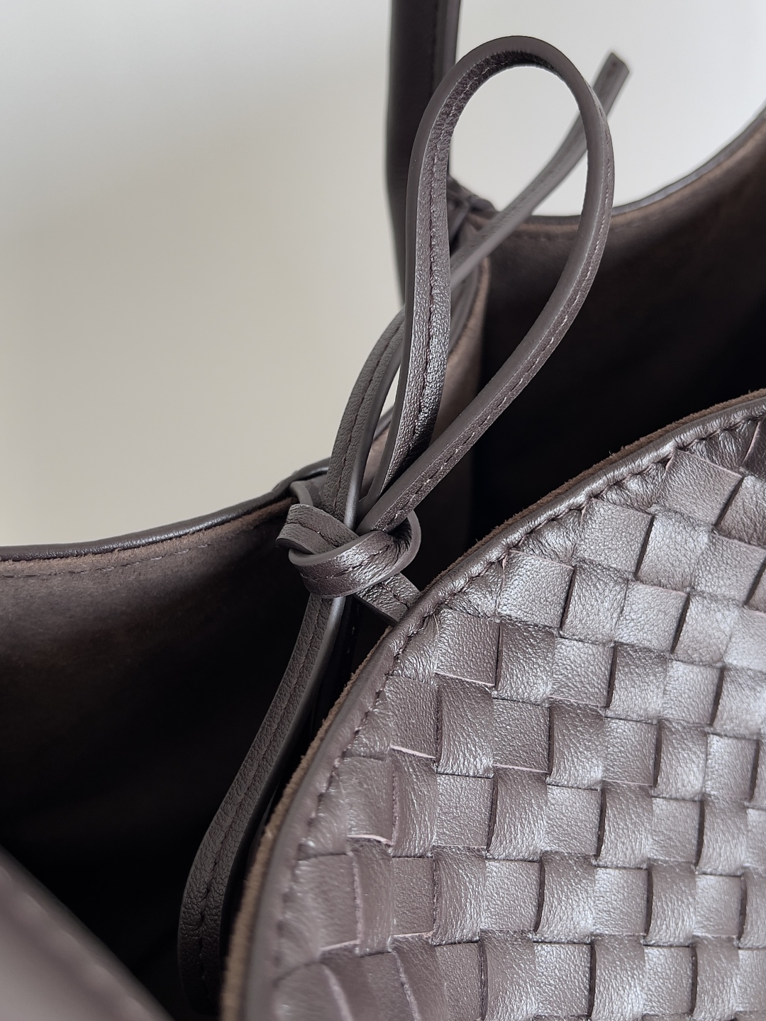 Bottega Veneta 2025 Pinacoteca Bag