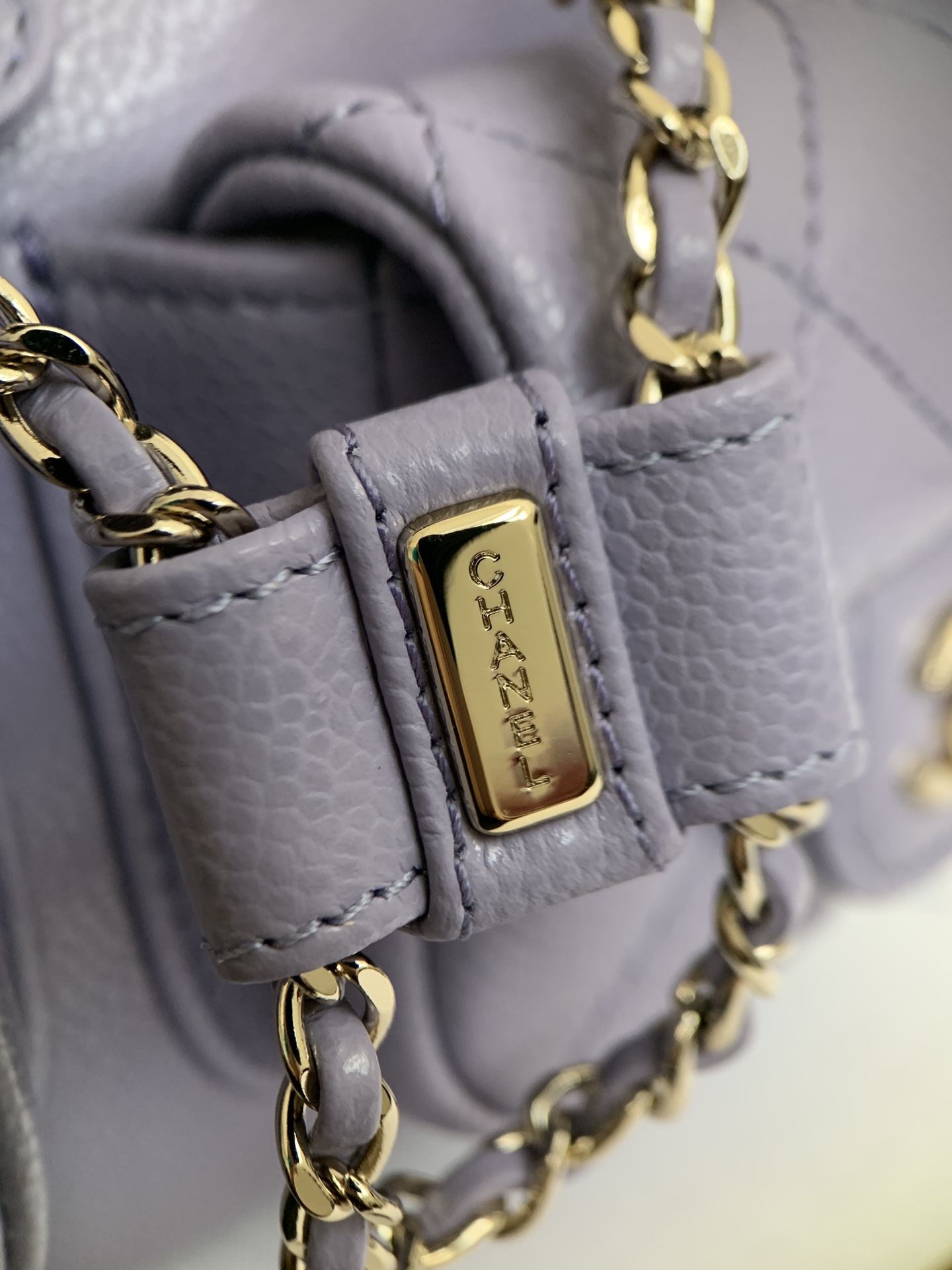 Chanel 24A Duma Backpack in Stardust Purple