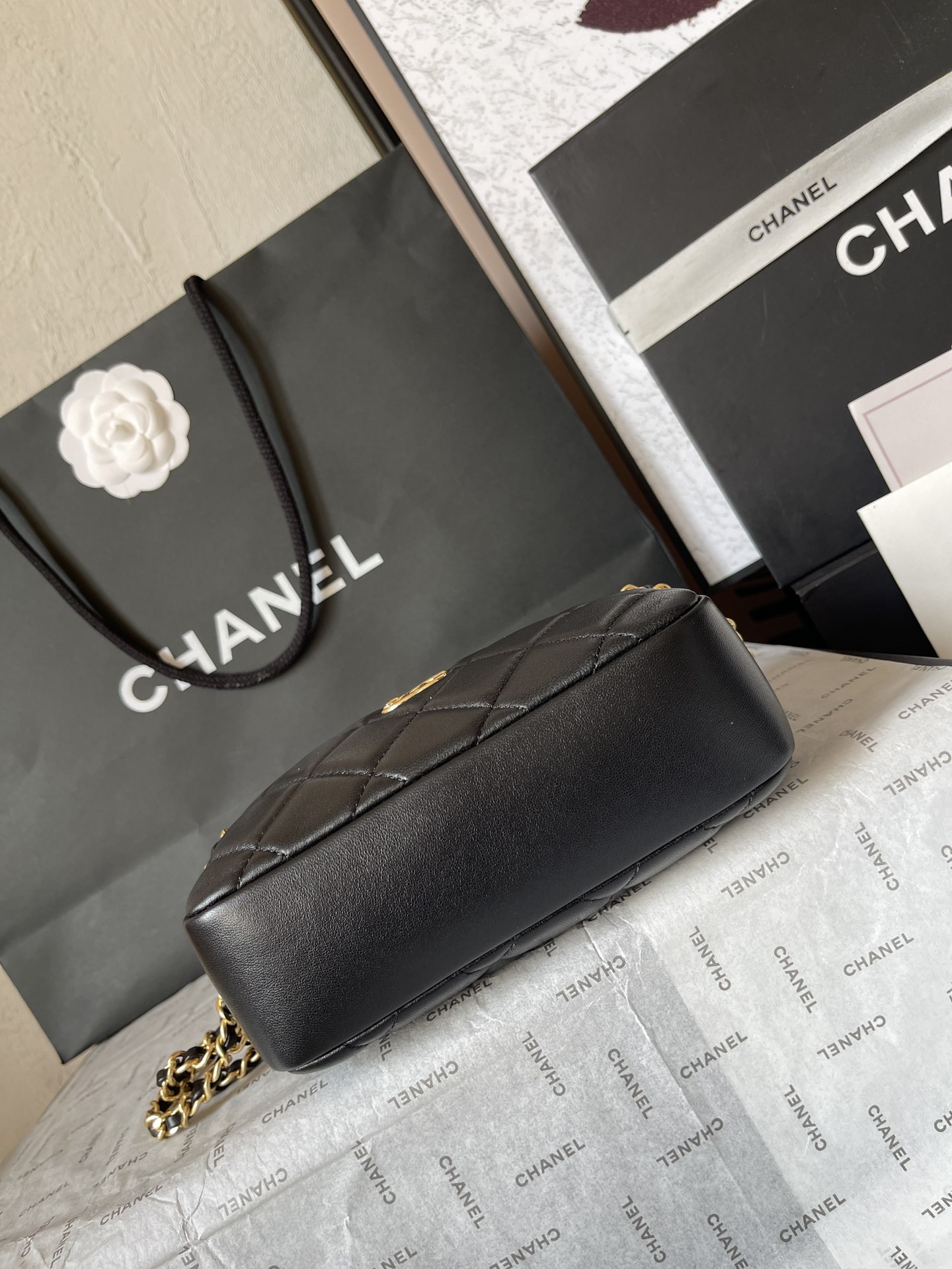 The Chanel 24K Camera Bag
