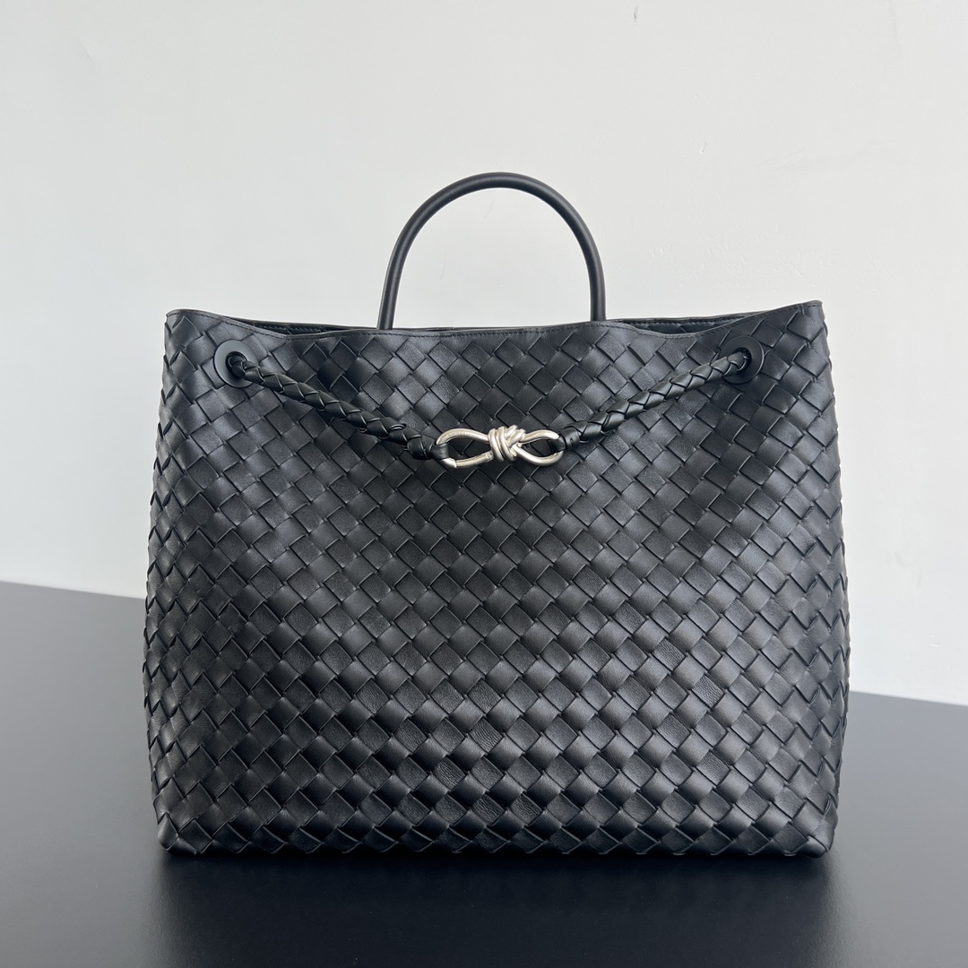 Bottega Veneta Andiamo Bag (Model 743575