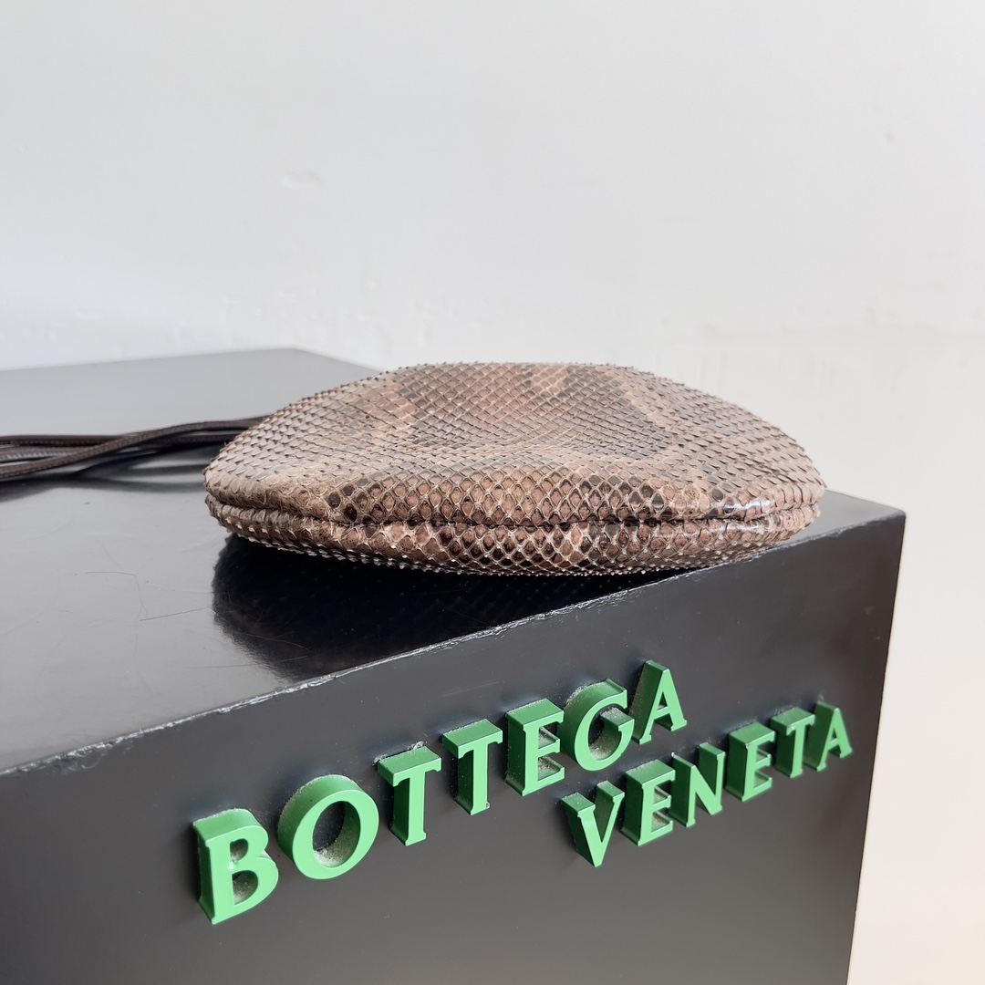Bottega Veneta Rare Python Sardine Mini Bag