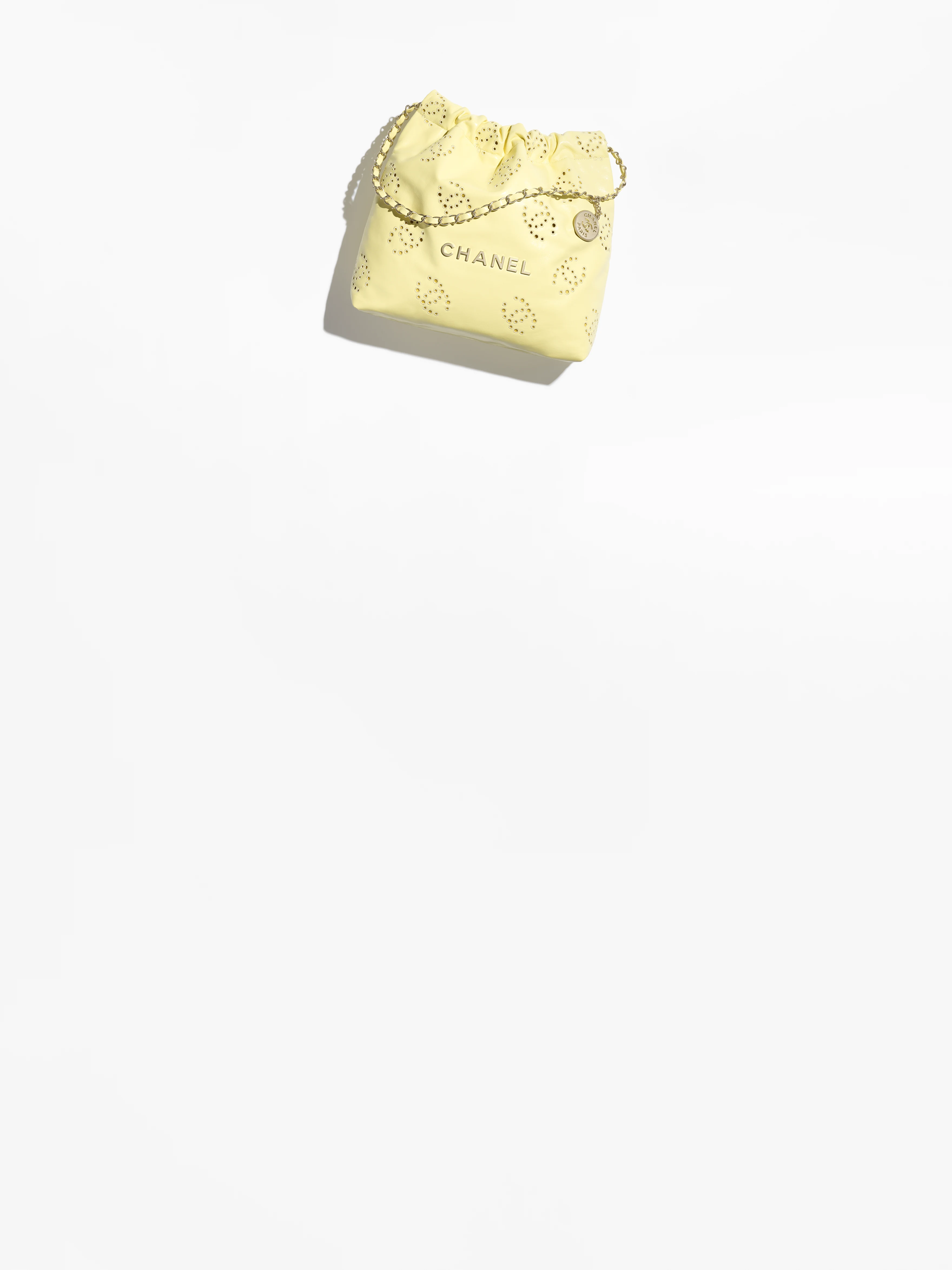 Spring-Summer 2025 Pre-collection CHANEL 22 Small Handbag