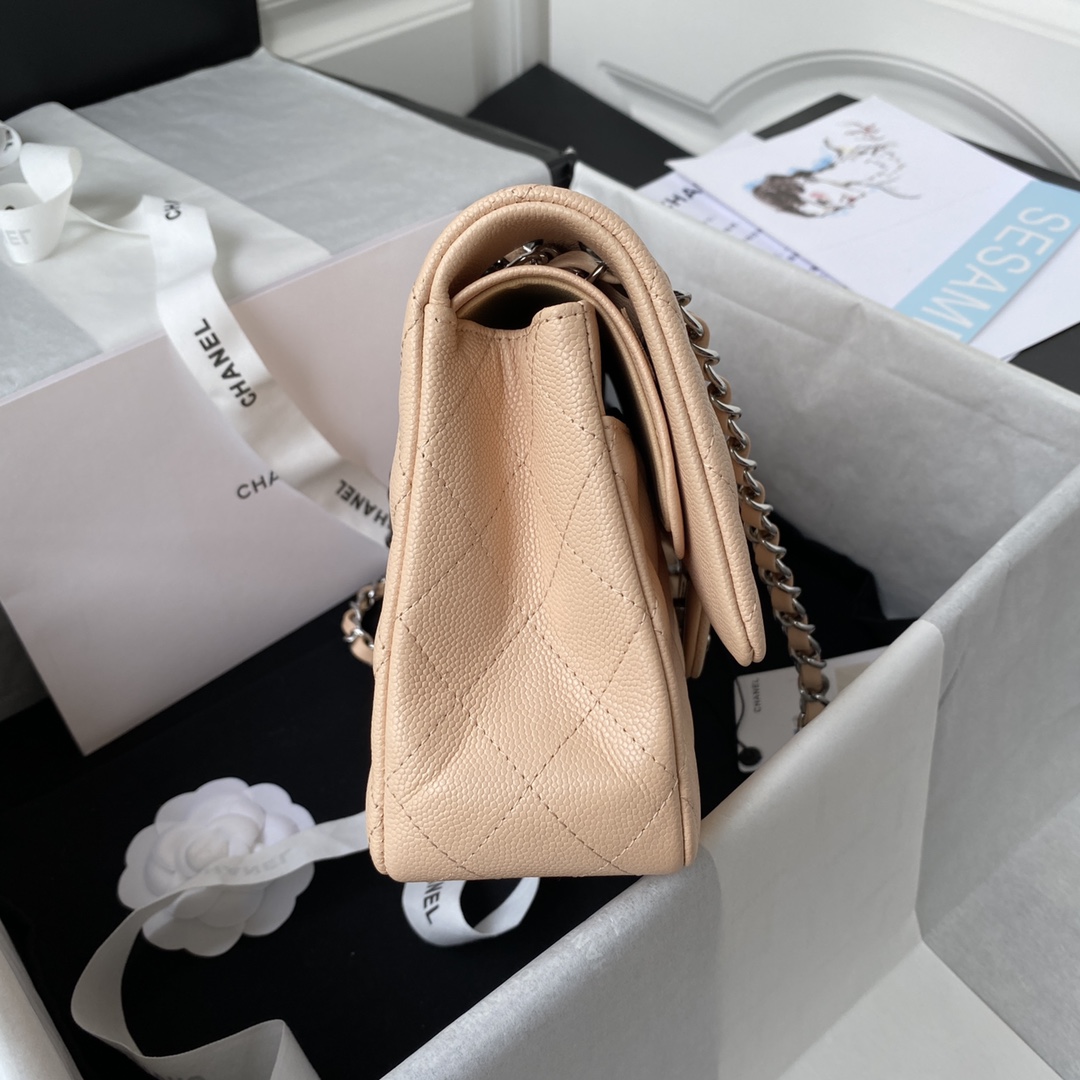 Chanel Classic Flap Bag-Nude