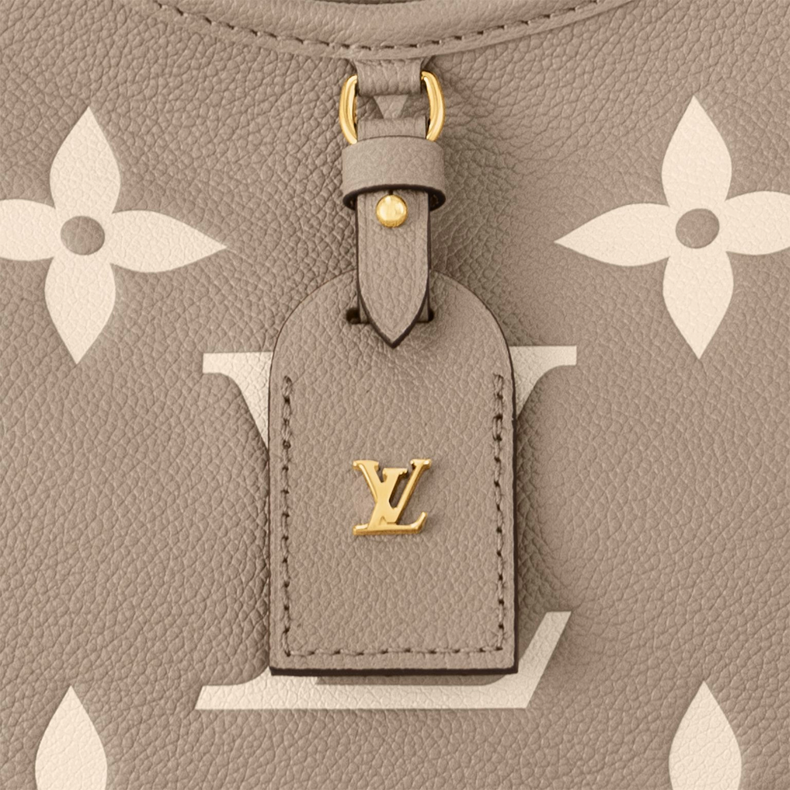 Louis Vuitton M47180 CarryAll PM Tourterelle Gray