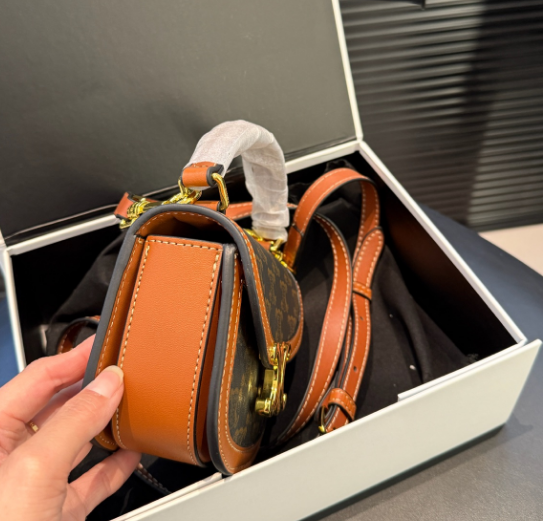 CELINE MINI BESACE CLEA in Triomphe canvas and calfskin