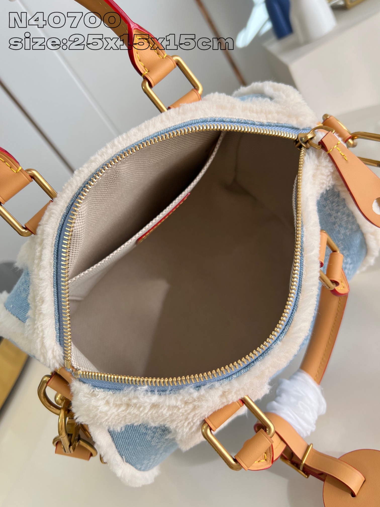 Speedy Bandouliere 25 handbag