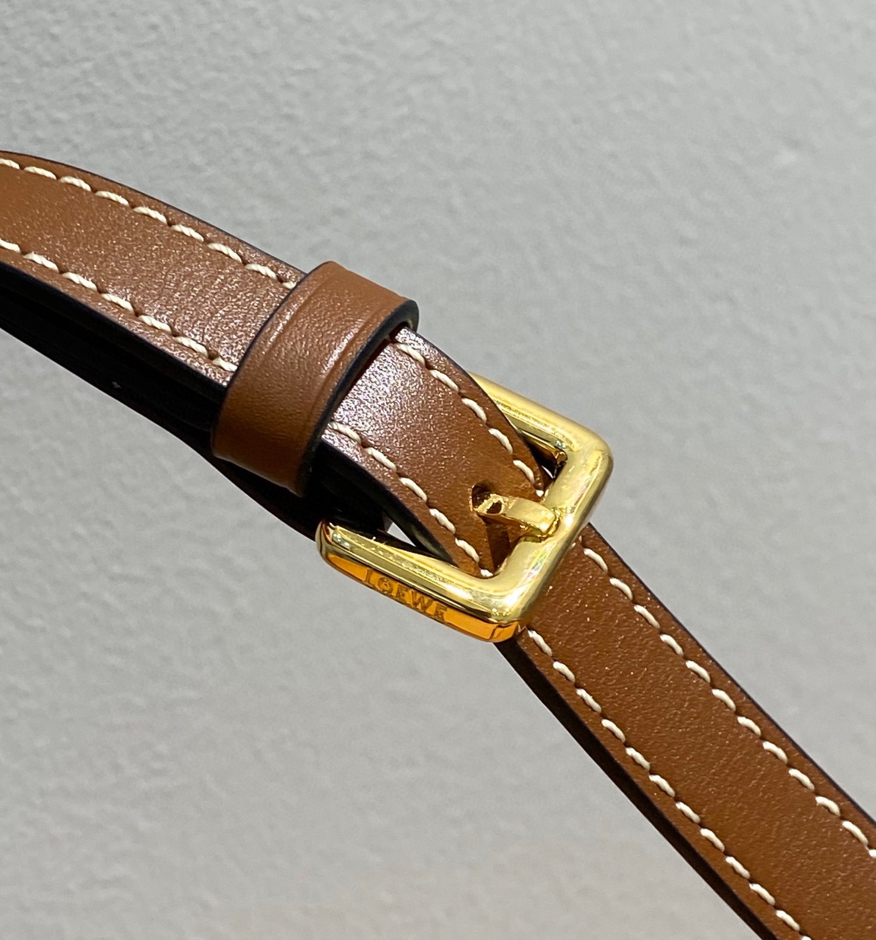 Loewe Gate Dual Mini Bag