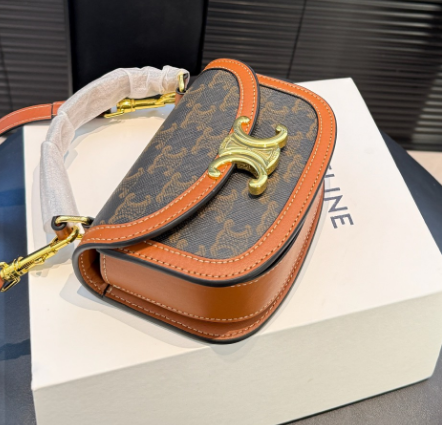 CELINE MINI BESACE CLEA in Triomphe canvas and calfskin