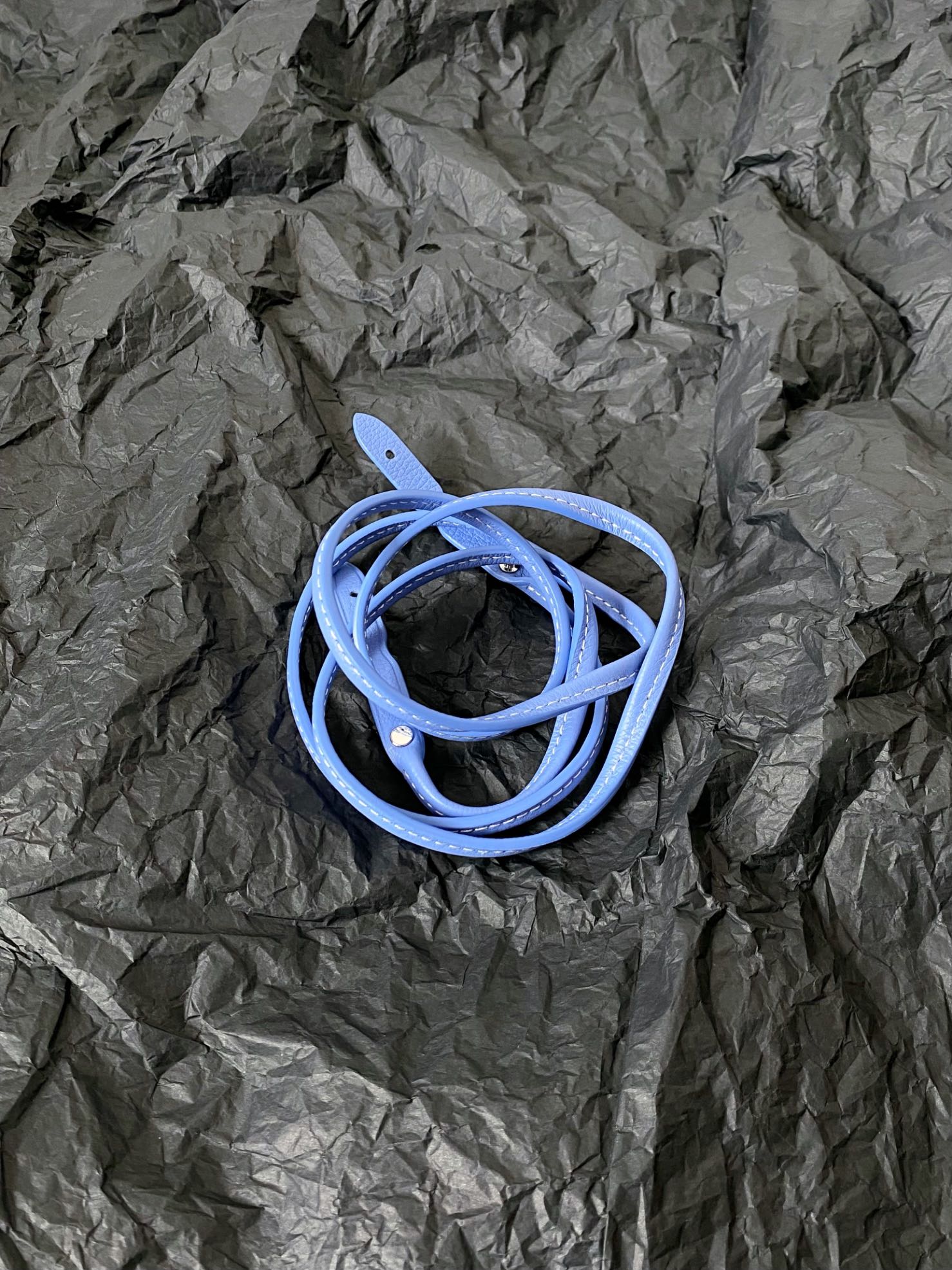 Goyard Poitiers PM bag