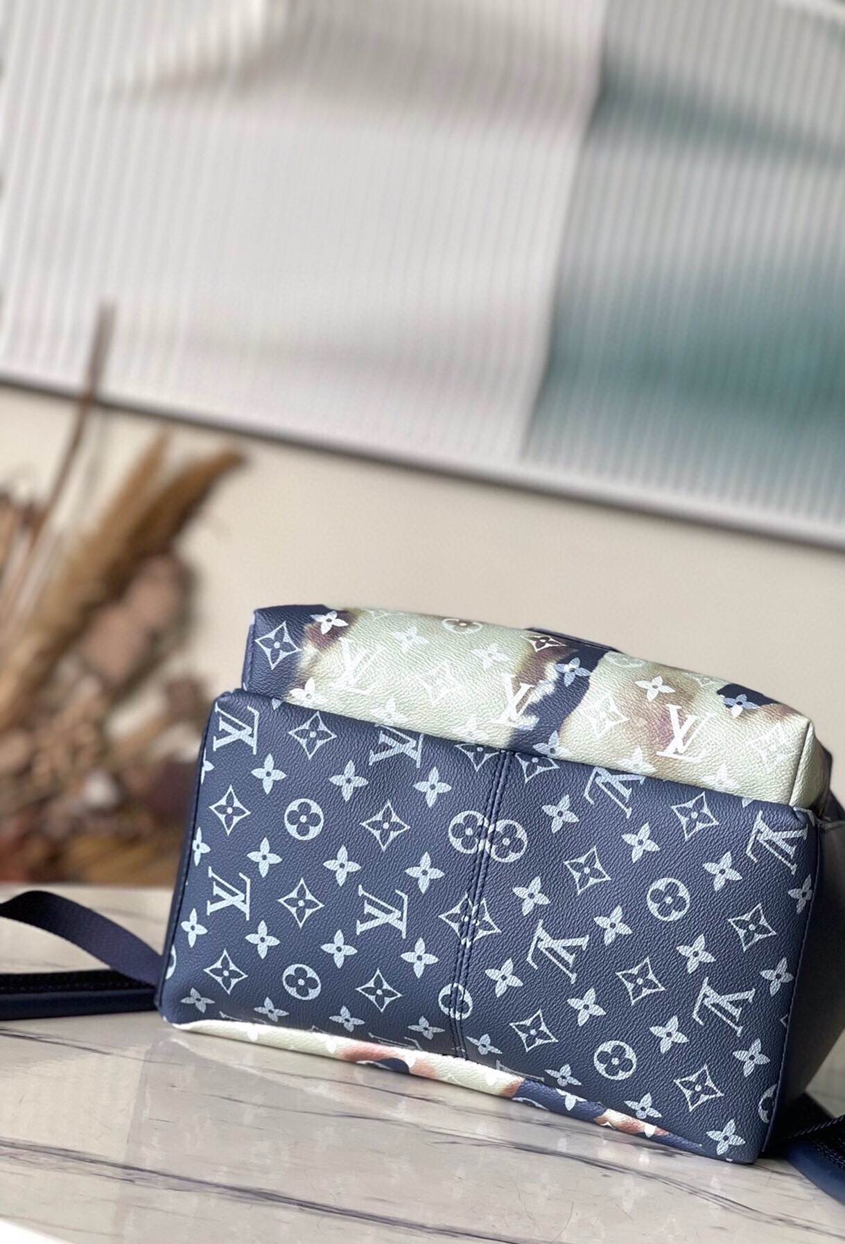 Louis Vuitton M46806 Discovery Backpack PM