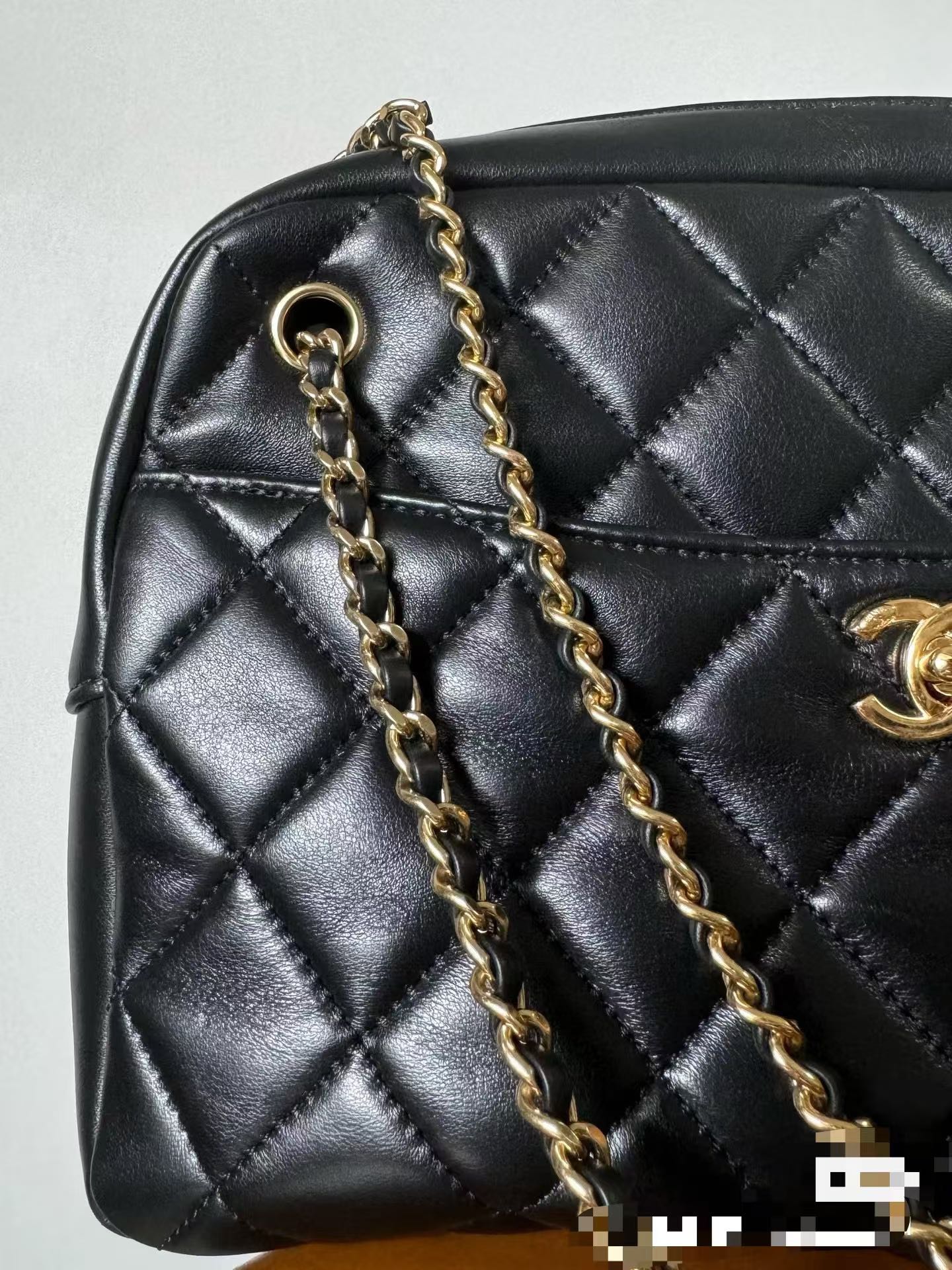 OHANEL Gold Coin Microbadge Camera Bag