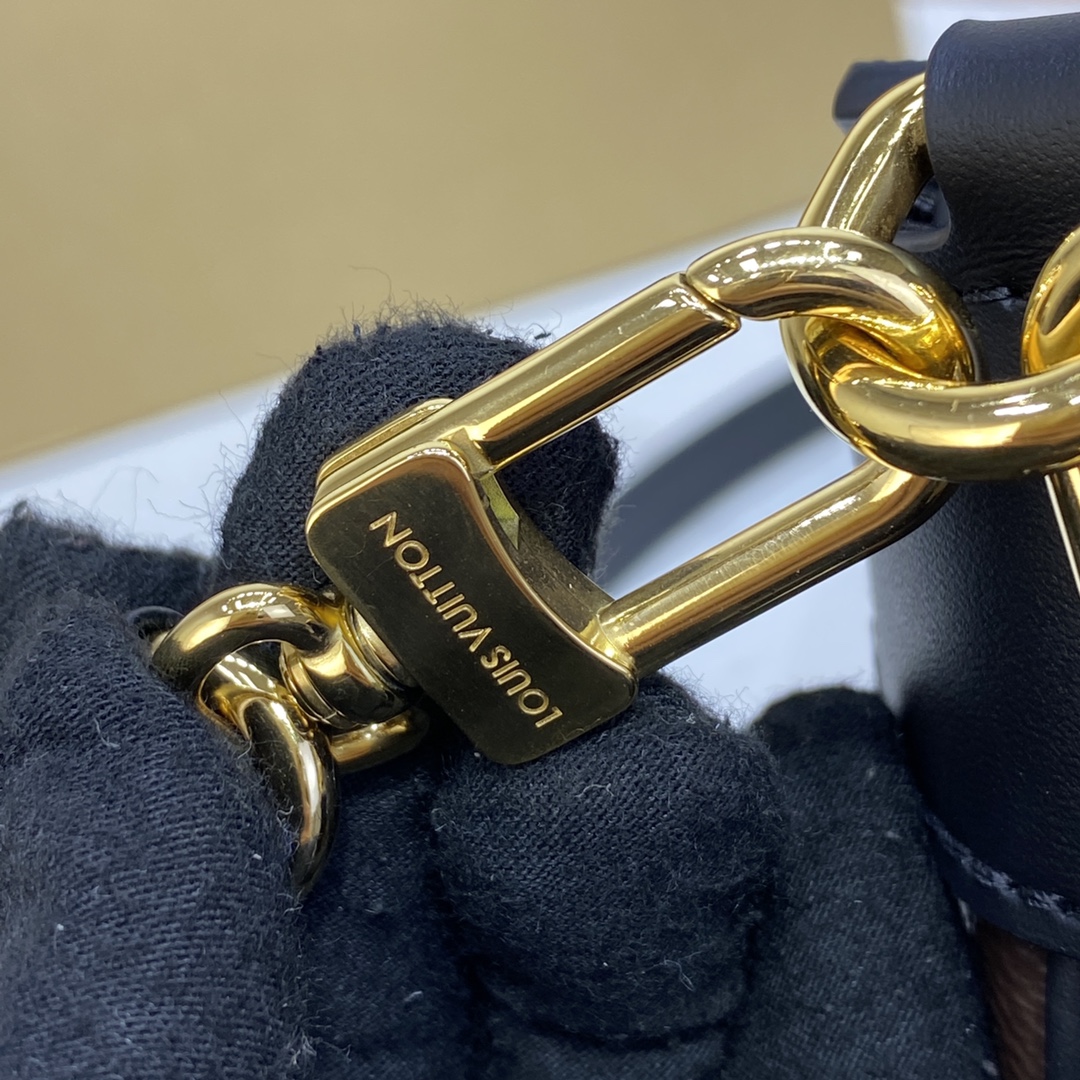 Louis Vuitton M46659 LV Twinny