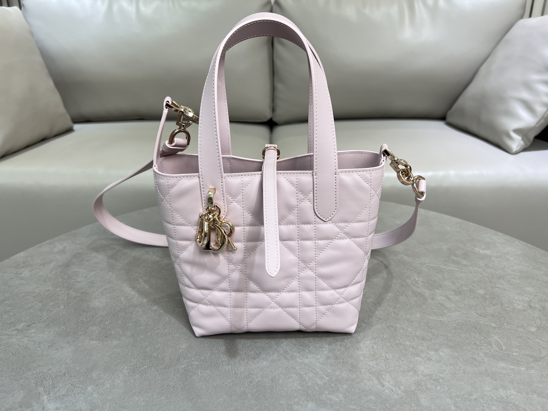 Dior-oujours vertical handbag
